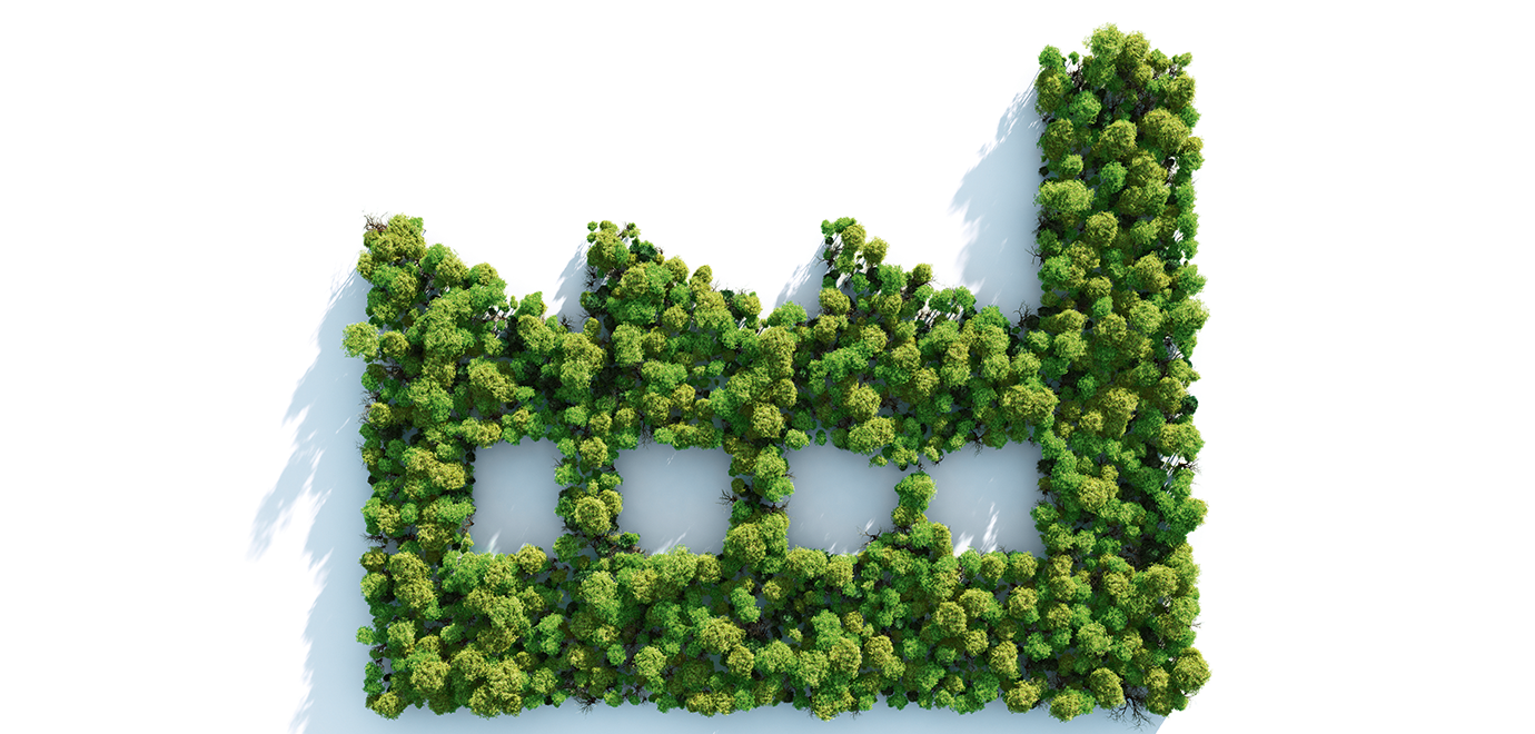 Foto: iStock / Leonard C