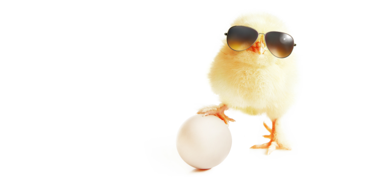 Foto: Thaut Images/AdobeStock