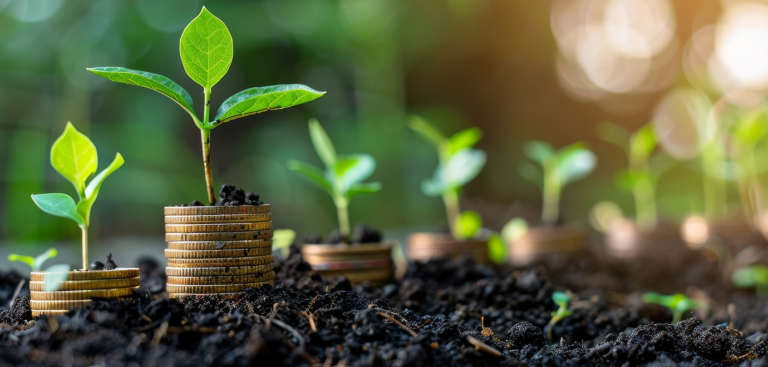 Foto: Naret/AdobeStock