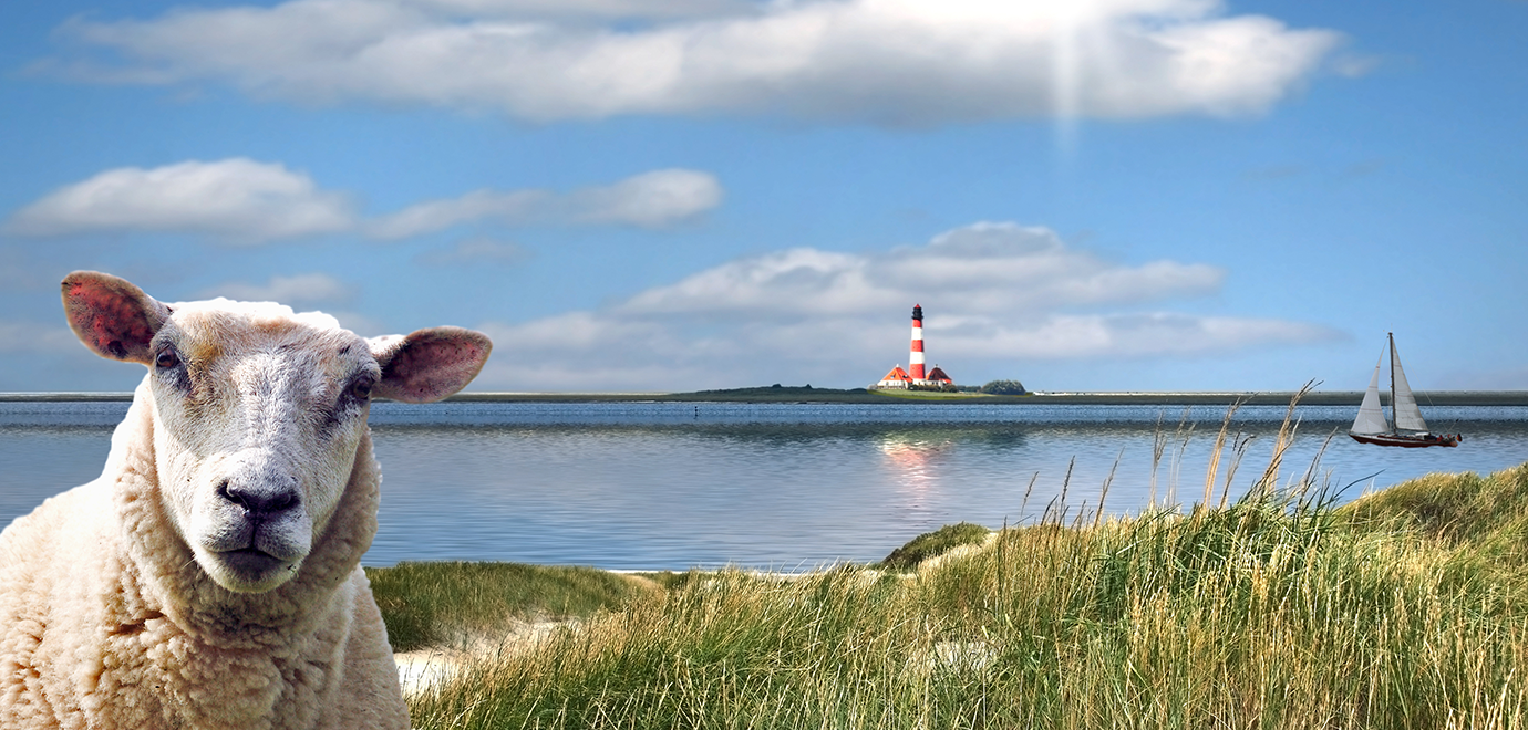 Foto: Gabriele Rohde/AdobeStock