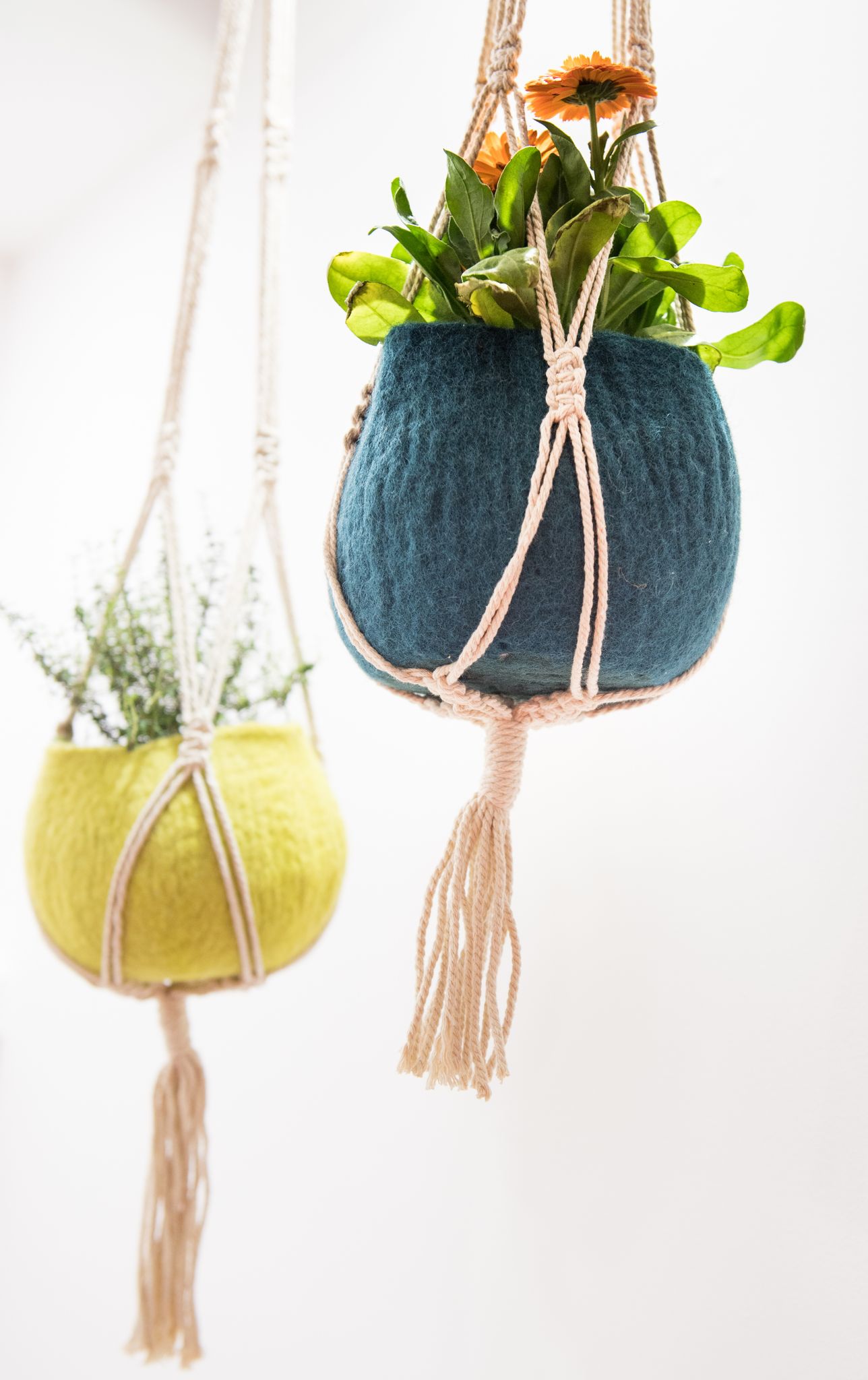 Für kreative Köpfe: Aus Seilresten kann man Halterungen für die Übertöpfe der Zimmerpflanzen selbst basteln.