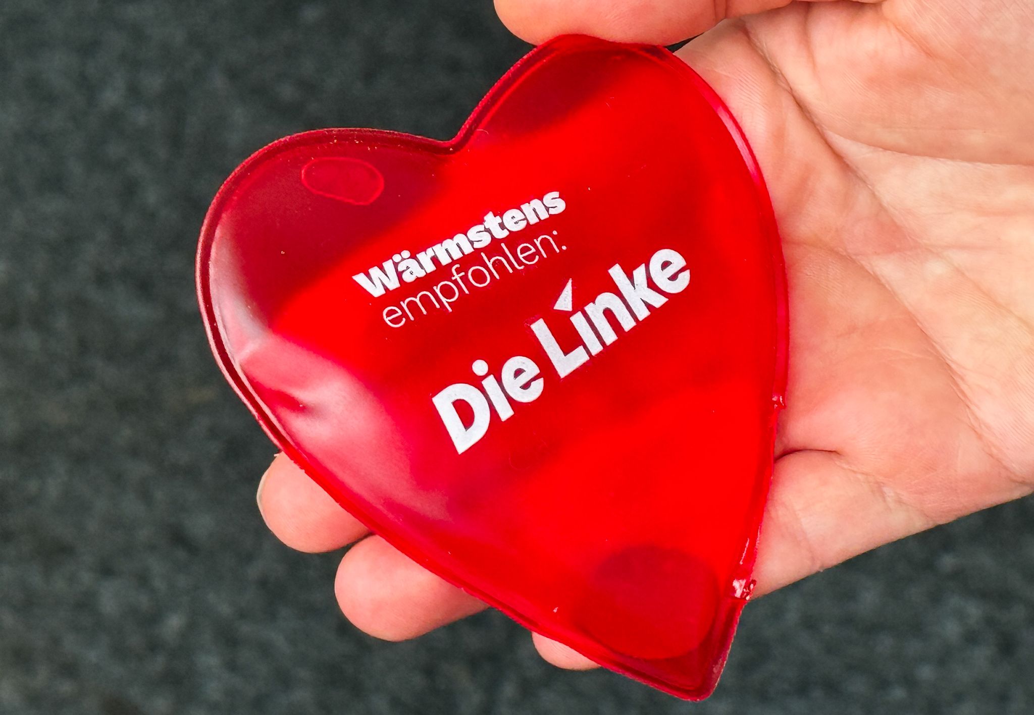 Die Linke macht Wahlkampf - und empfiehlt sich selbst. (Archivbild)