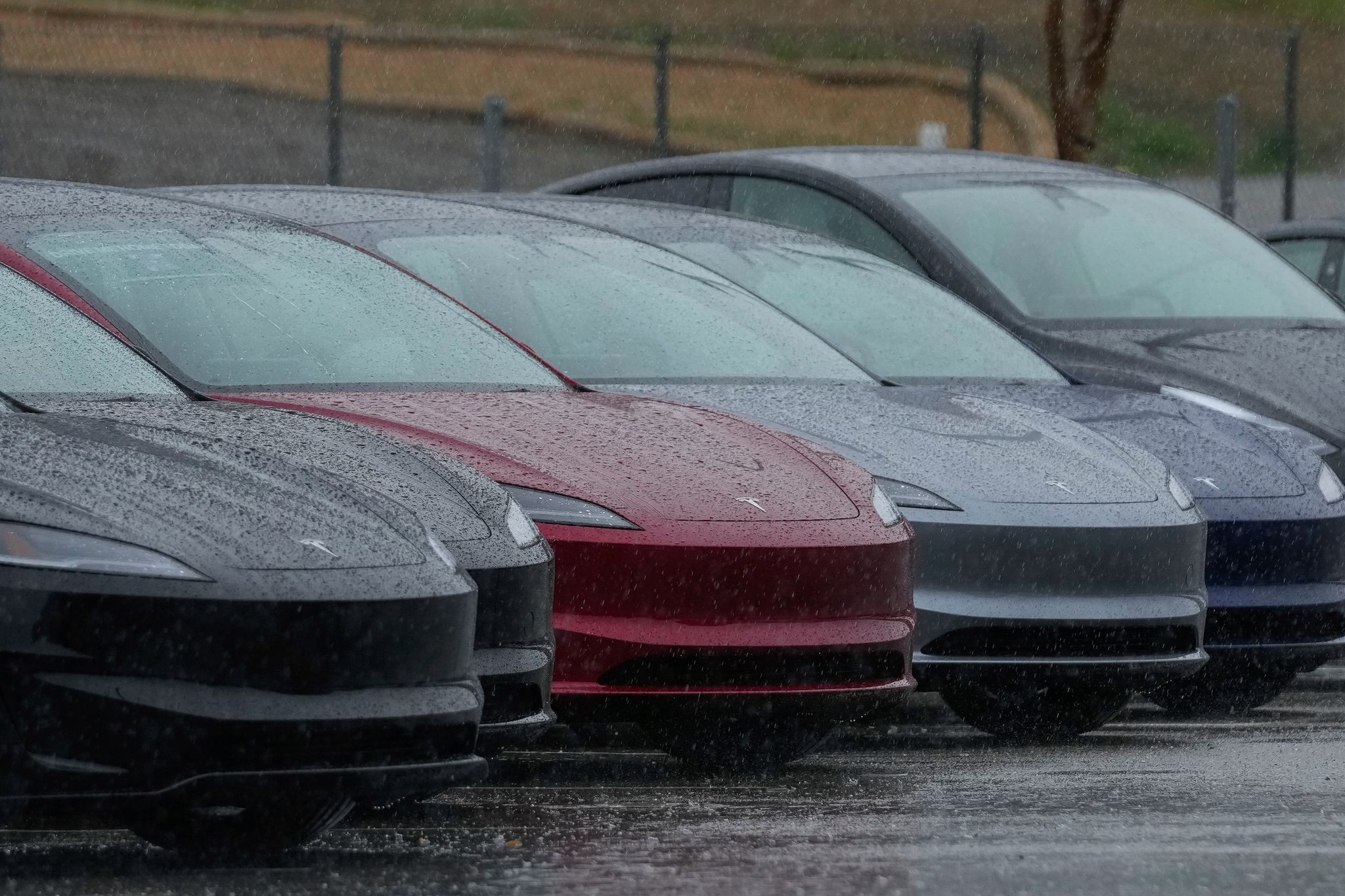Tesla steht derzeit in Sachen Beliebtheit im Regen. (Archivbild)