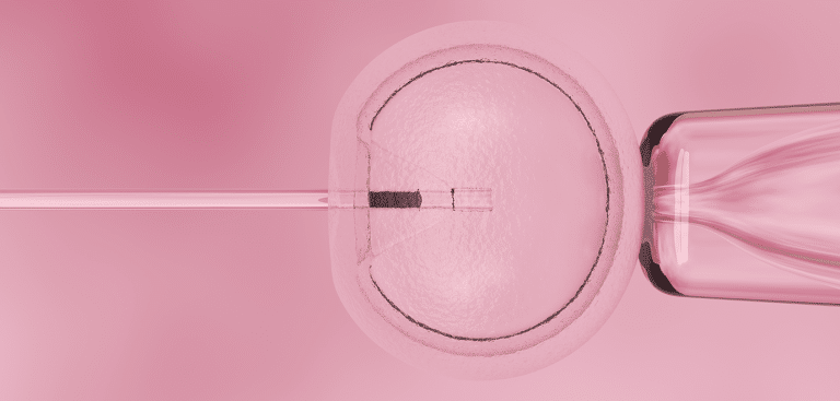 Foto: luismmolina/iStock in vitro Eizellen
