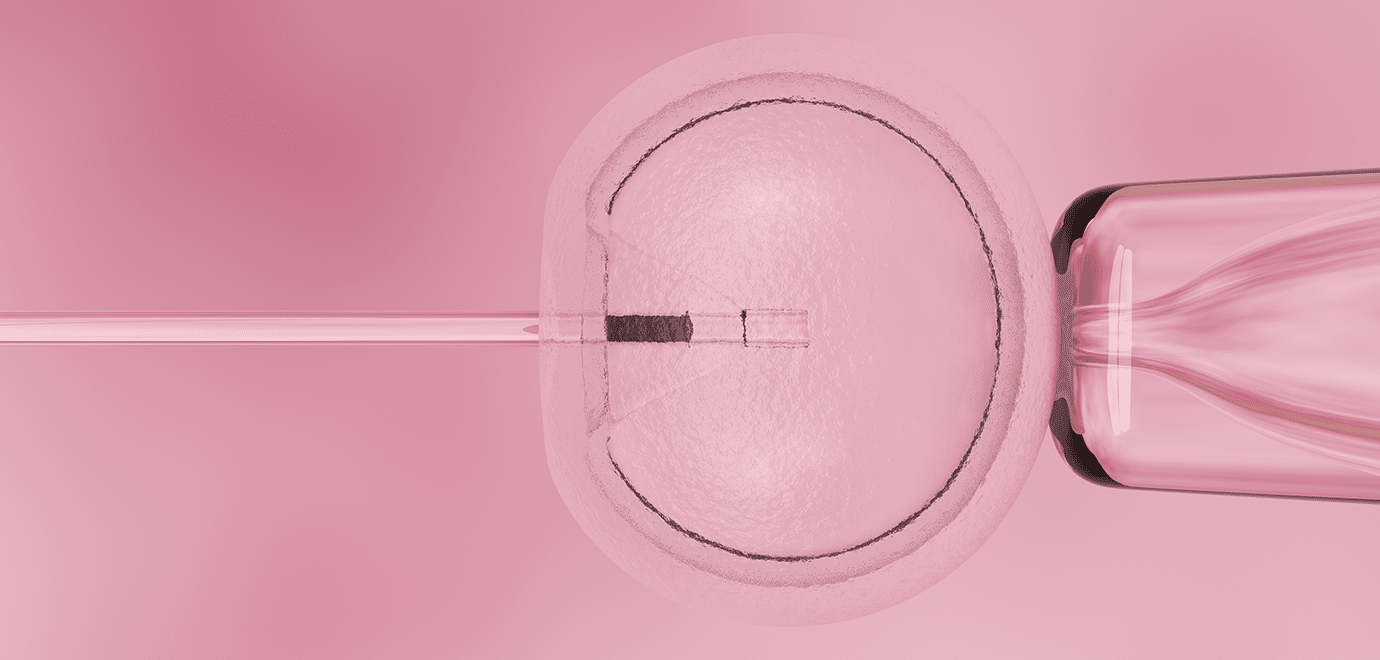 Foto: luismmolina/iStock in vitro Eizellen