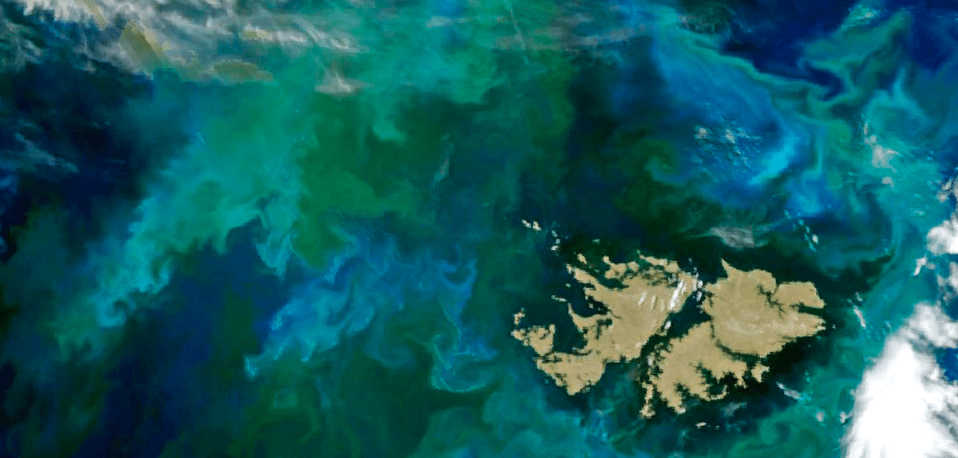 Foto: dpa picture alliance/Cover Images/NASA Earth Observatory