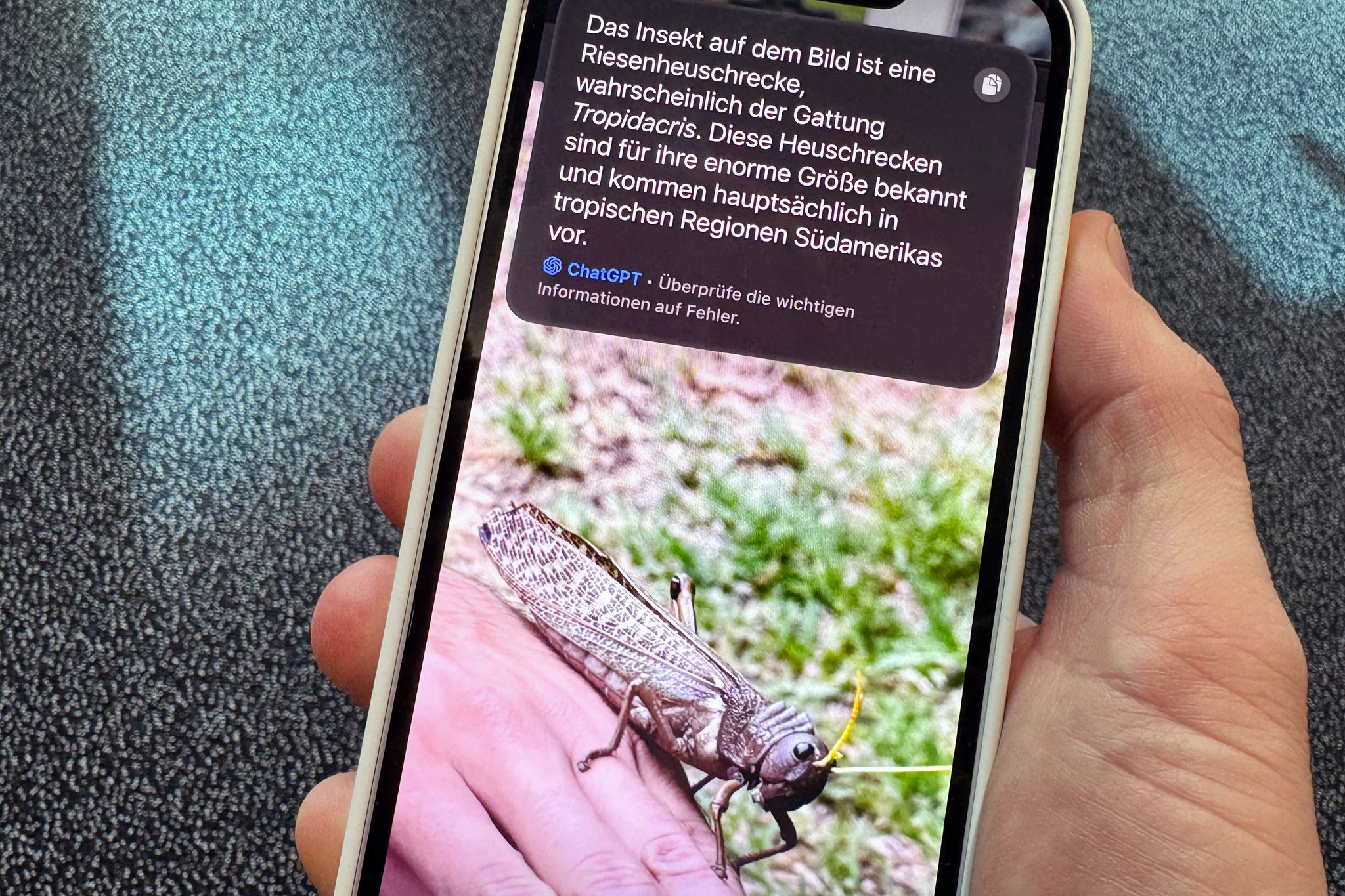 Schicke Schrecke, aber welche ist es genau? Apples Visual Intelligence kann mit Hilfe von ChatGPT auch solche Rätsel lösen.