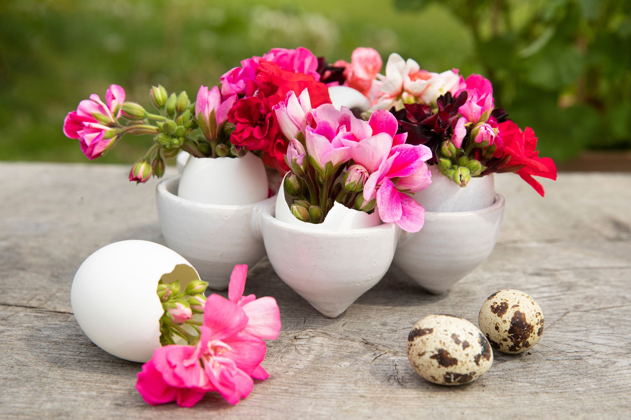 Osterschmuck mit Blüten: Die ausgehöhlten Eier wurden mit Geranien befüllt.