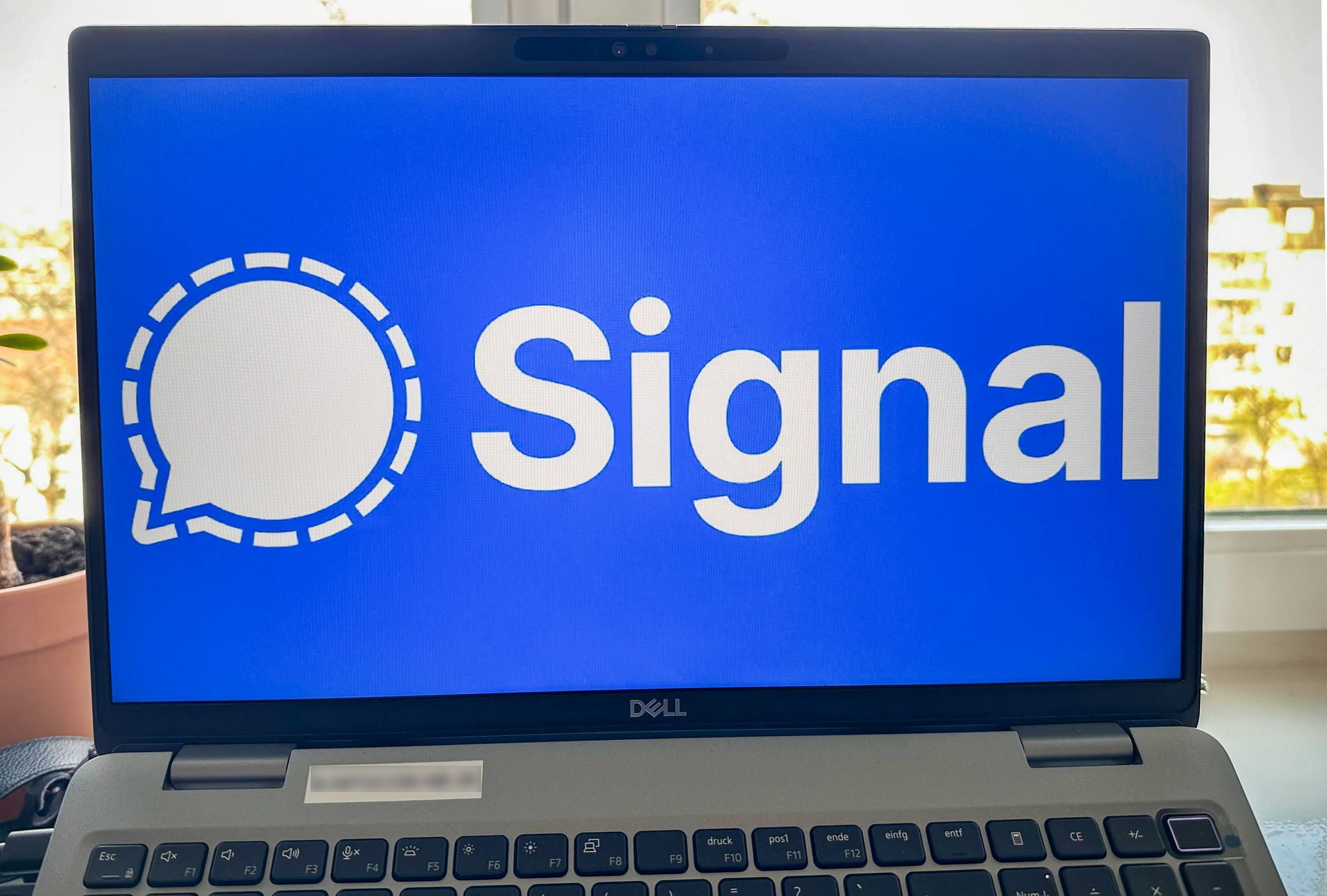 Update für Signal-User: Desktop-Version erhält verschlüsselte GIF-Suche.
