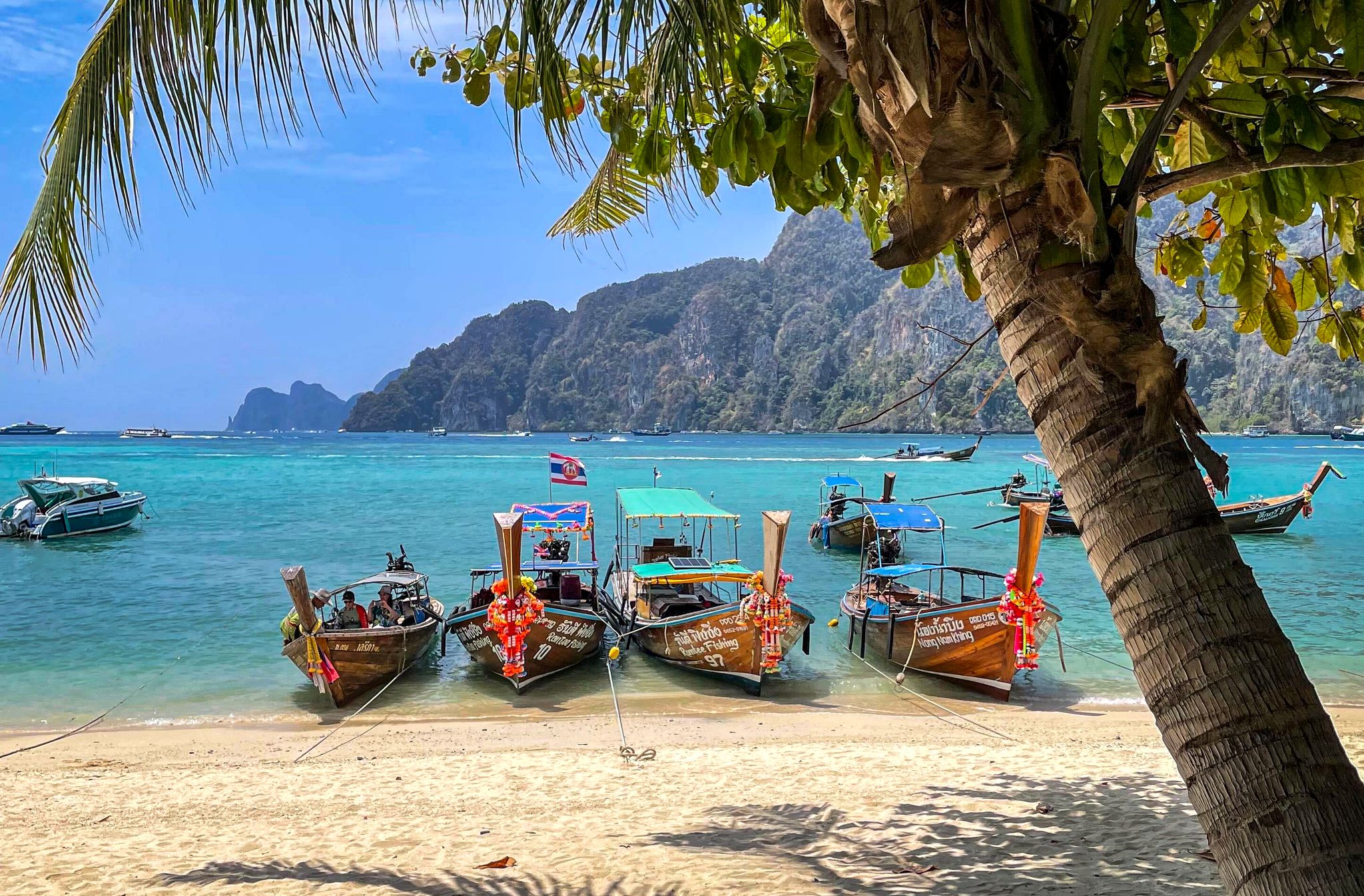 Rückkehr ins Paradies: Beliebte Tauchplätze rund um Ko Phi Phi öffnen wieder.