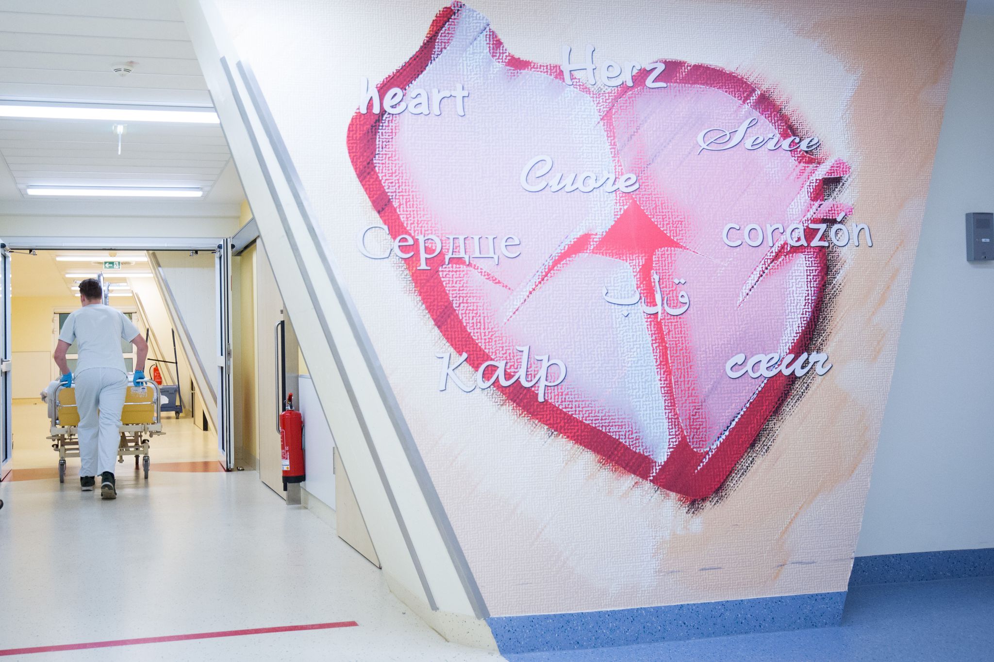 Zu den Herz-Kreislauf-Erkrankungen zählen zum Beispiel der Herzinfarkt und der Schlaganfall (Symbolbild).