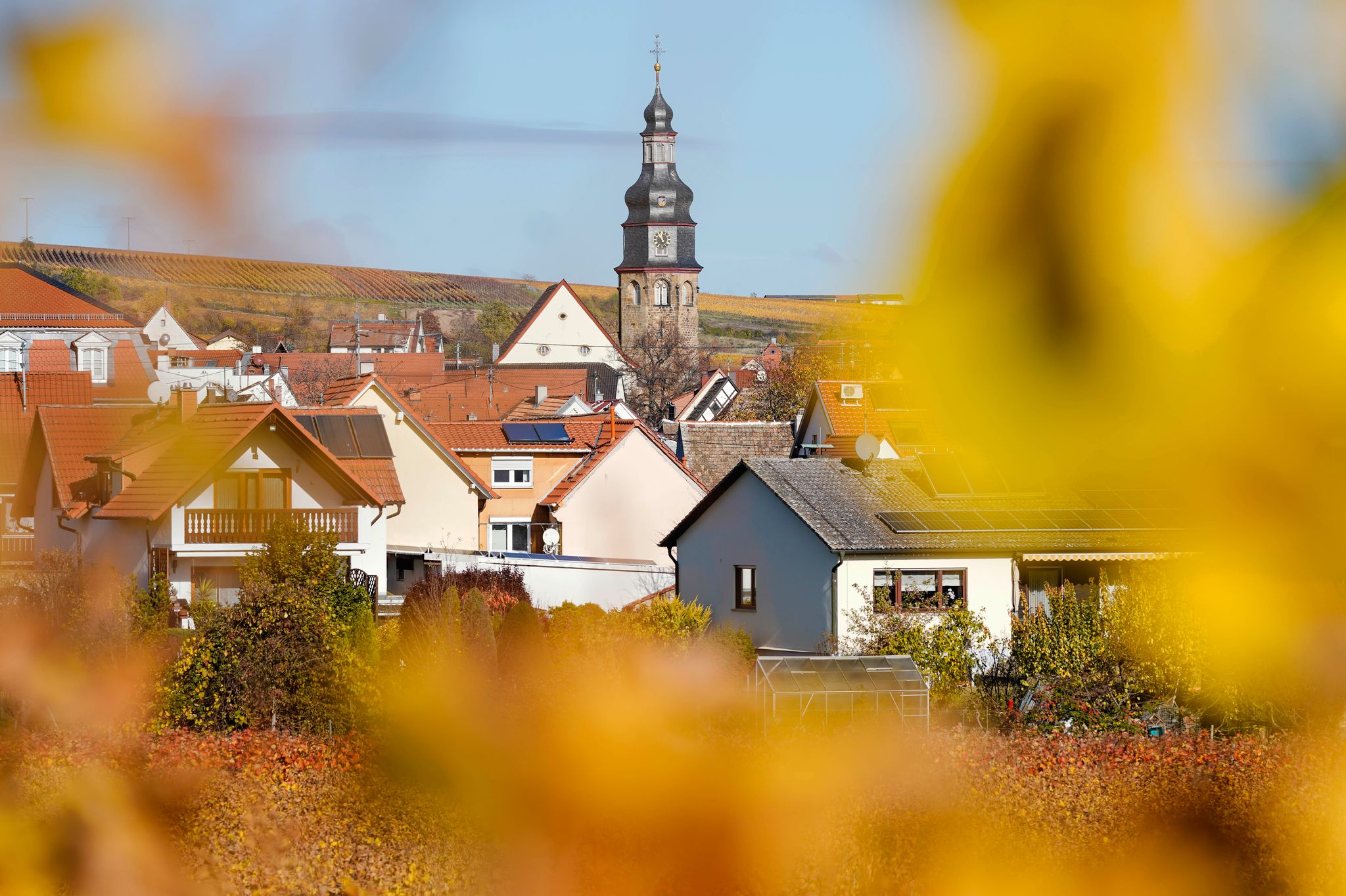 Der kleine Winzerort Kallstadt an der Weinstraße ist der Heimatort von Trumps Vorfahren. (Archivbild)