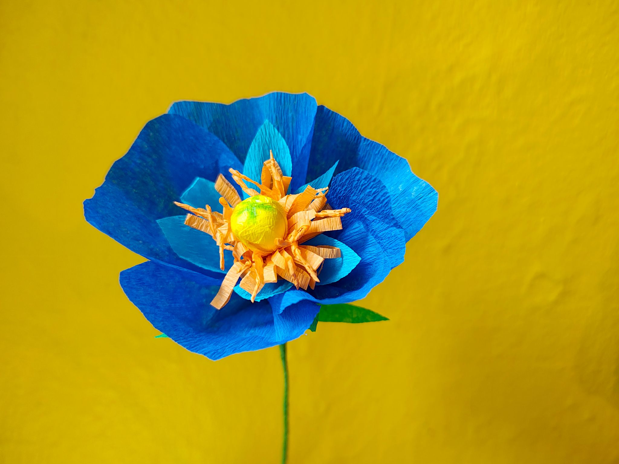 Blumen aus Krepppapier basteln - eine nachhaltige Idee und ideal für Allergiker.