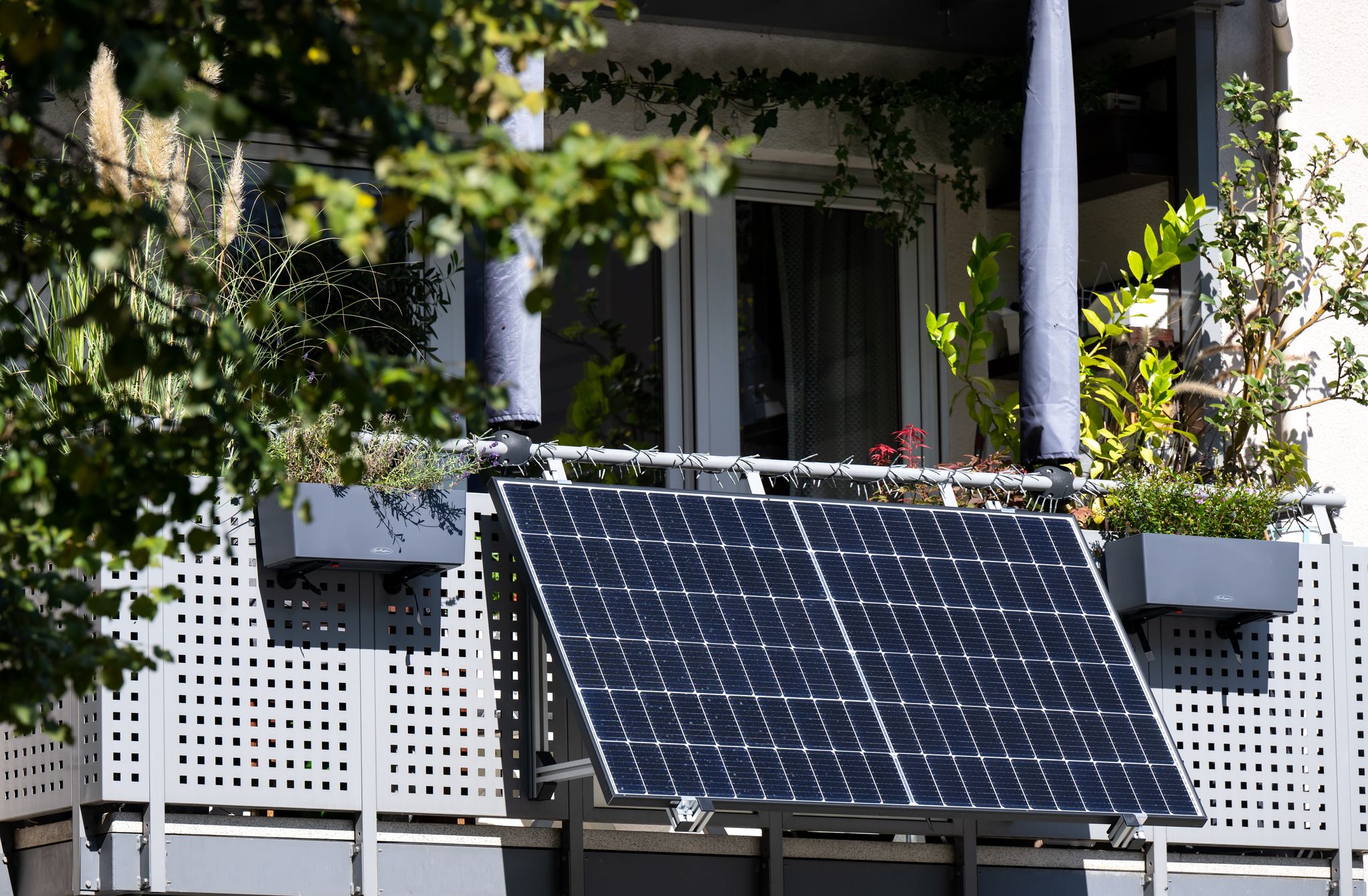 Der Sonnenstromverband BSW Solar erwartet in diesem Jahr weiteres rasantes Wachstum bei kleinen Balkonsolaranlagen. (Foto: Illustration)
