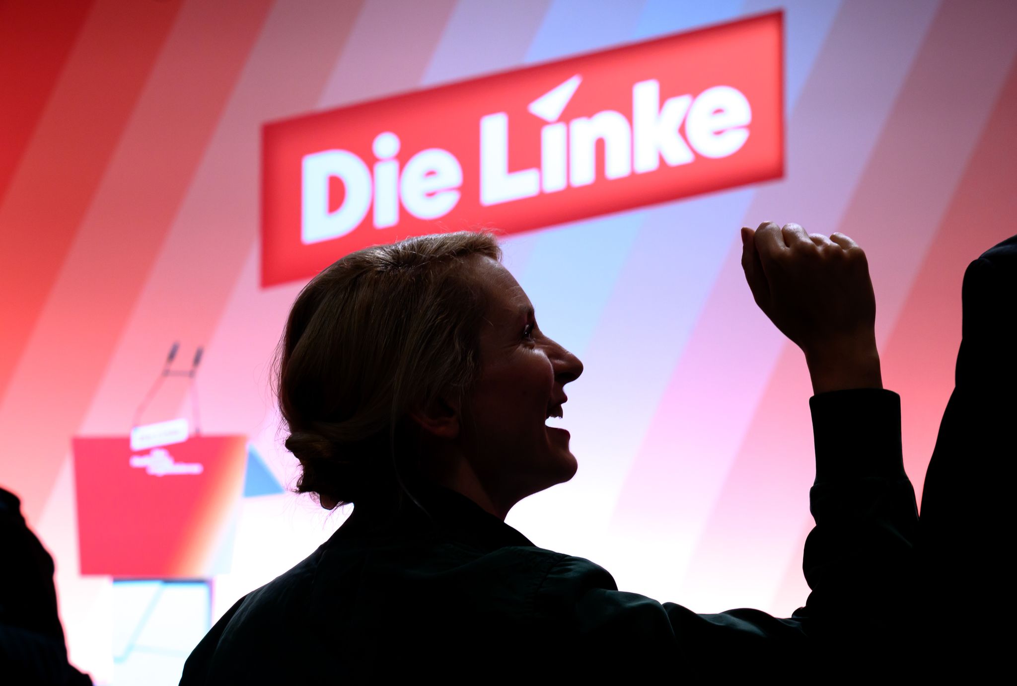 Linken-Chefin Ines Schwerdtner nennt den rasanten Mitgliederzuwachs ihrer Partei einen Wahnsinnserfolg. (Archivbild)