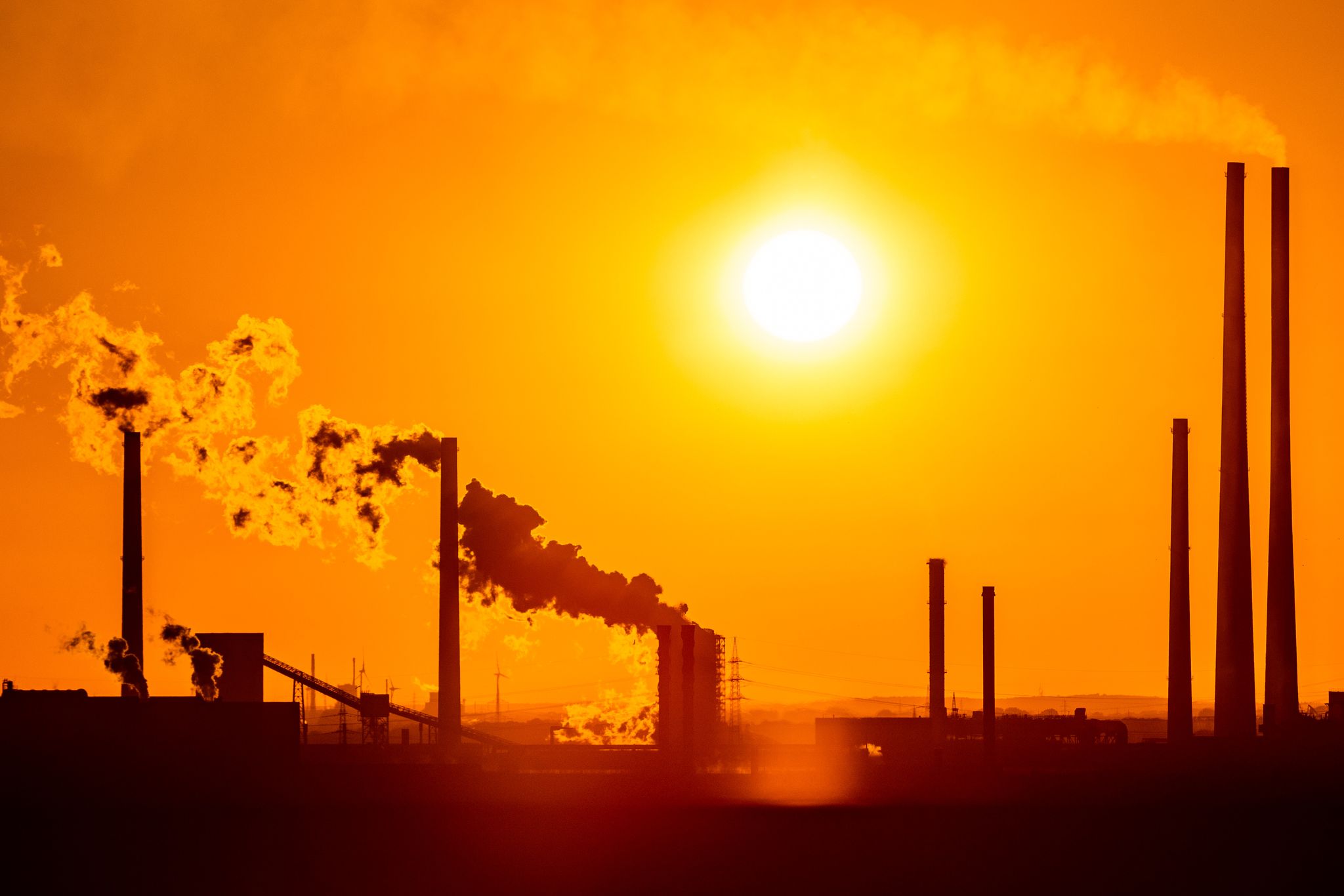 Die deutsche Wirtschaft könnte laut Ifo-Institut im kommenden Jahr kräftig wachsen (Symbolbild)