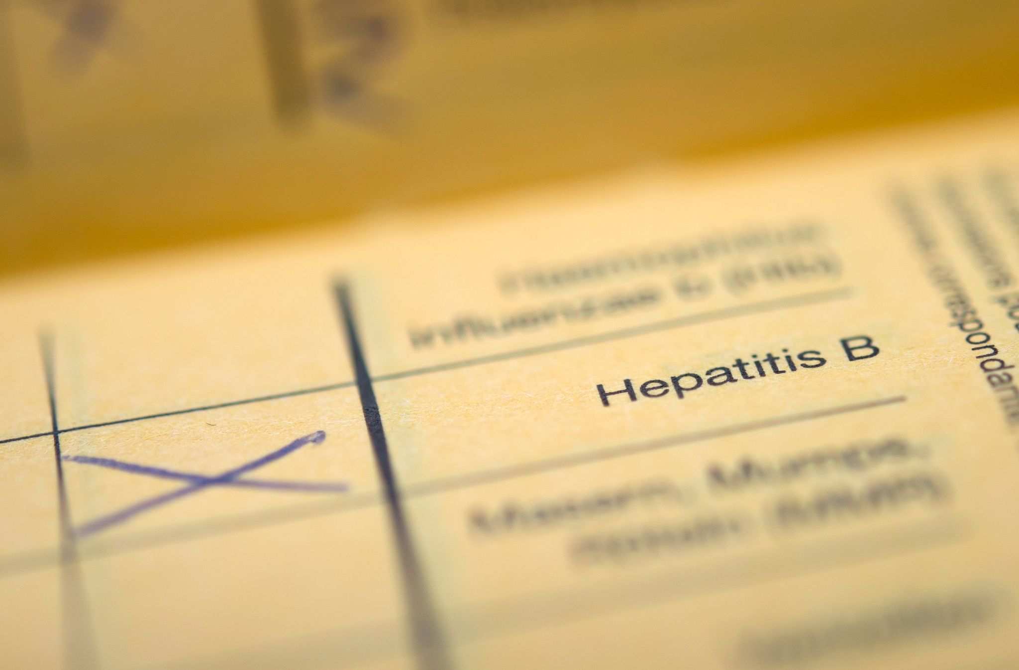Der Schriftzug "Hepatitis B"  in einem Impfpass. Hepatitis B kann Leberkrebs verursachen.