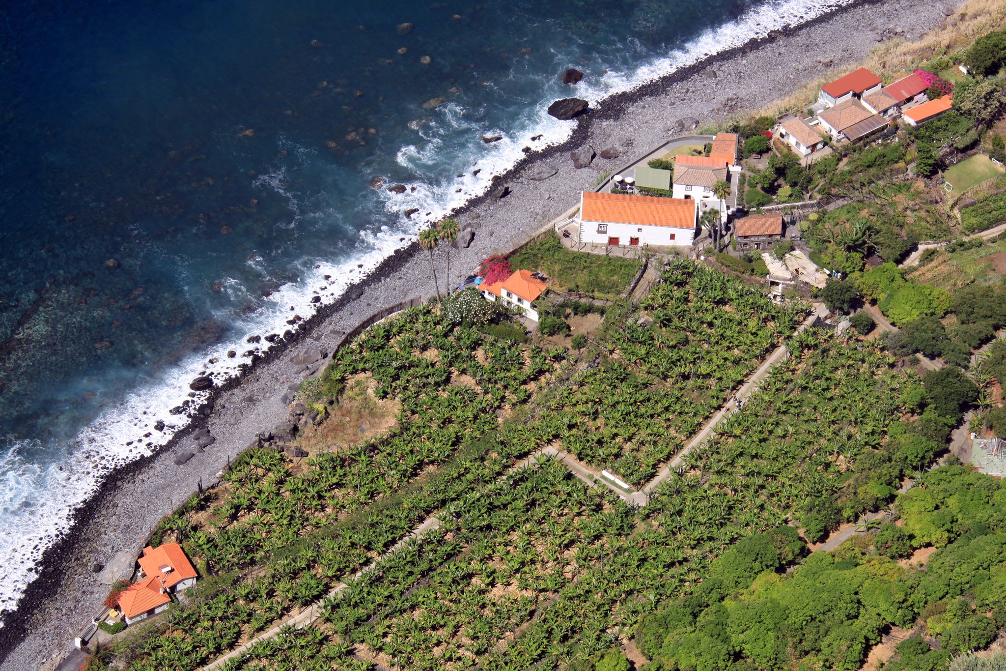 Gilt als die Wiege des Madeira-Weins: das Weingut Fajã dos Padres, geschützt gelegen vor einer steilen Felswand an der Küste.