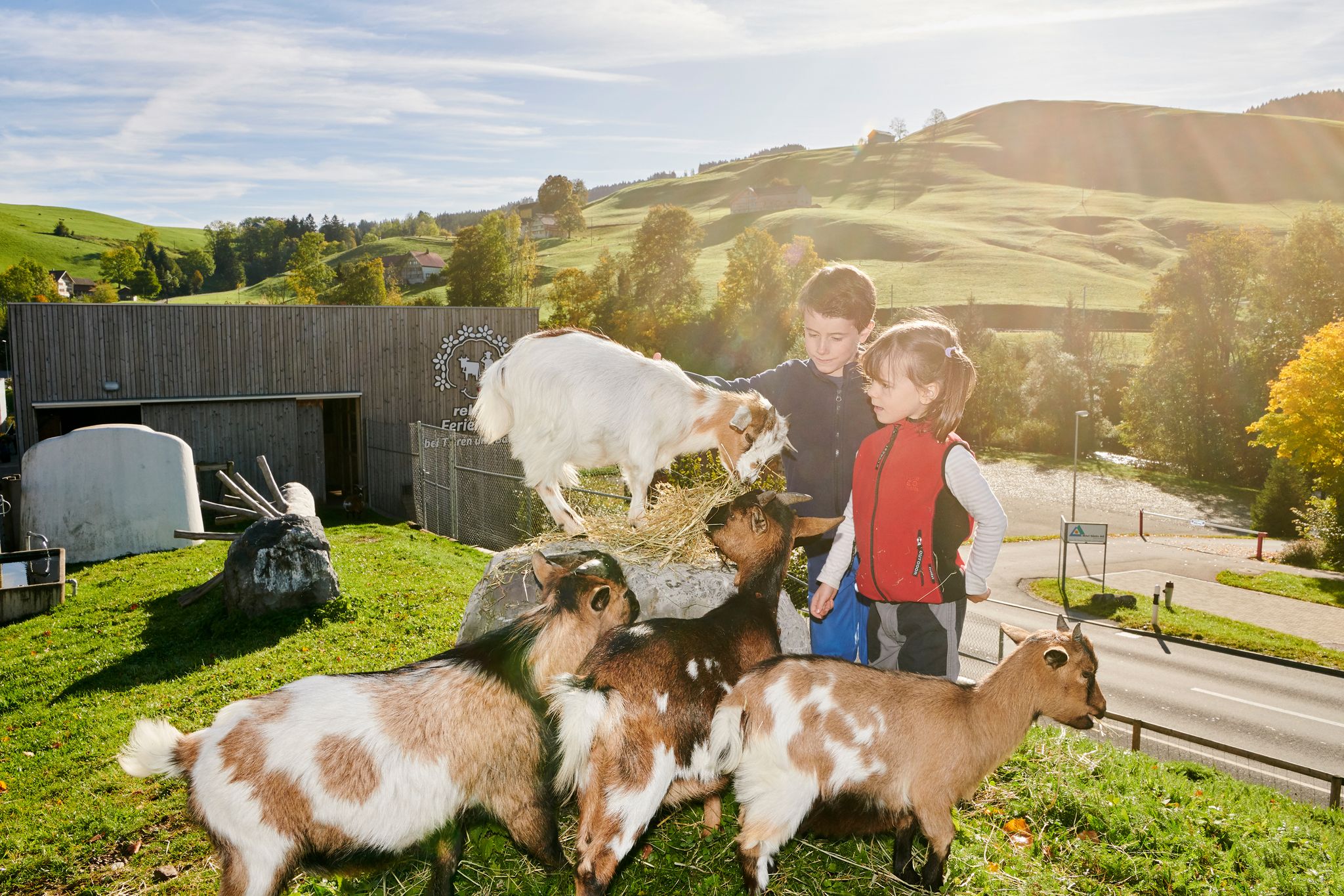 Kinder dürfen im Feriendorf auch Ziegen füttern.