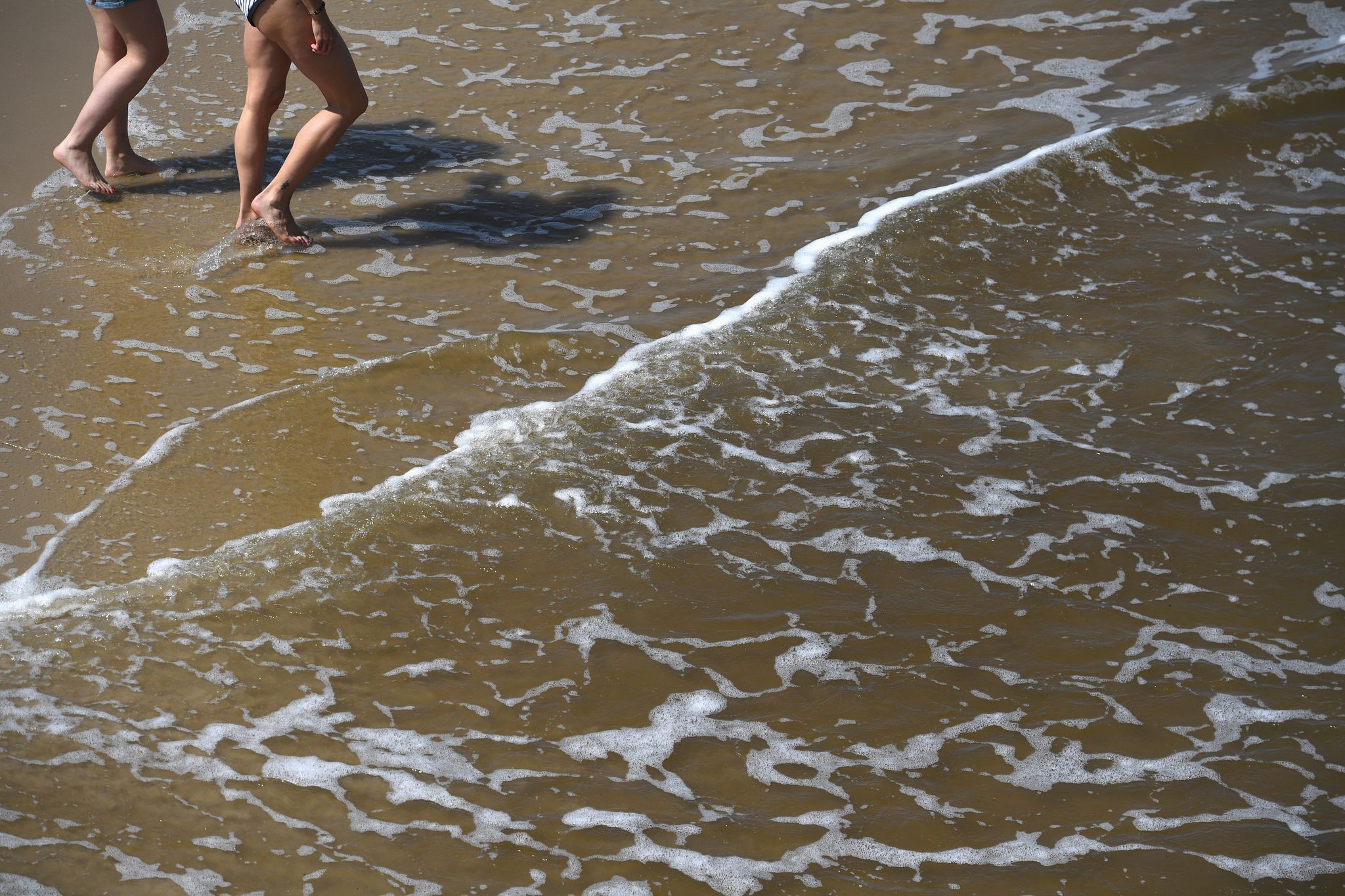 Mit der sommerlichen Hitze steigt das Risiko für Vibrionen-Infektionen an Nord- und Ostsee.