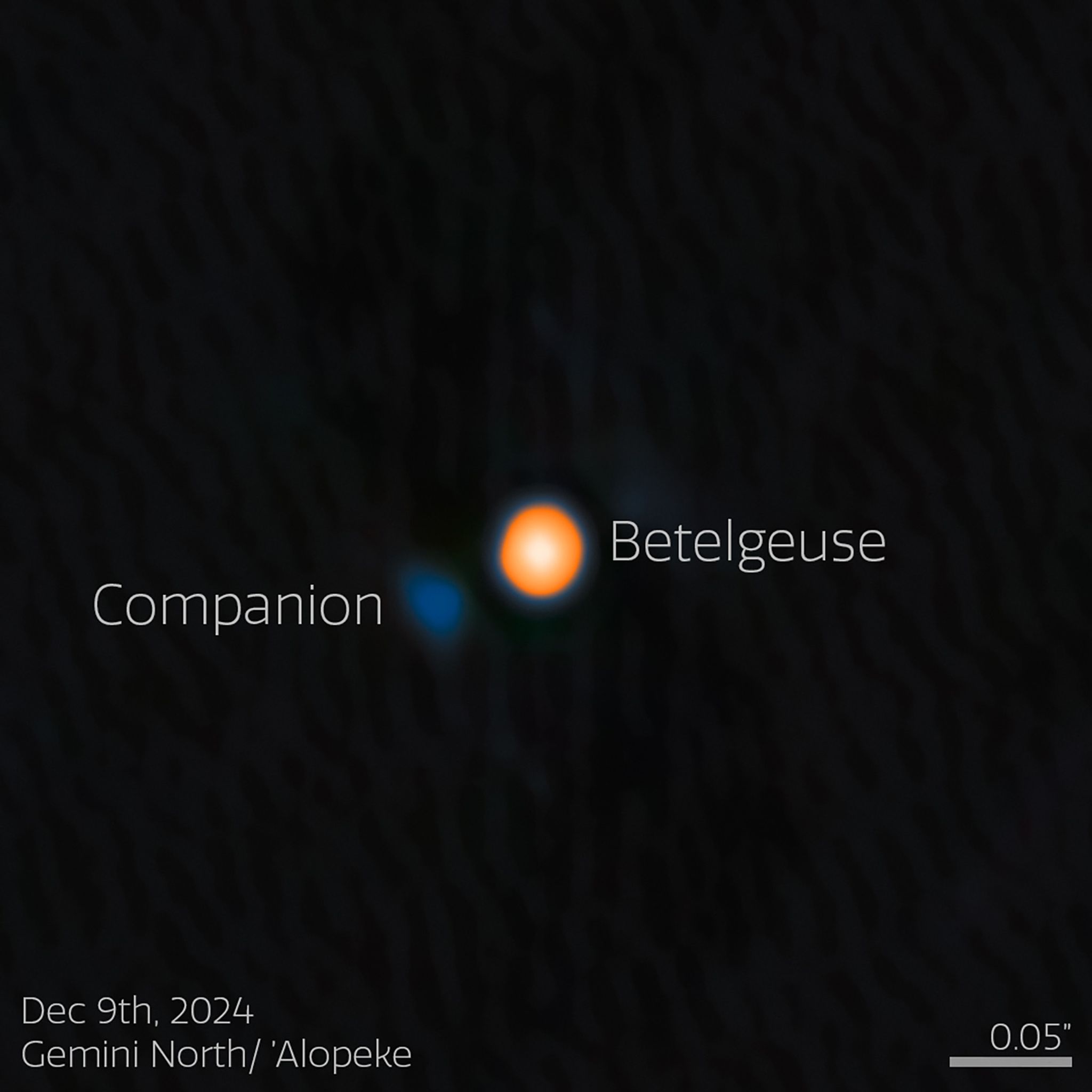 Astronomen haben wahrscheinlich einen Begleitstern von Beteigeuze (englisch: Betelgeuse) entdeckt. Der Begleitstern erscheint hier blau.