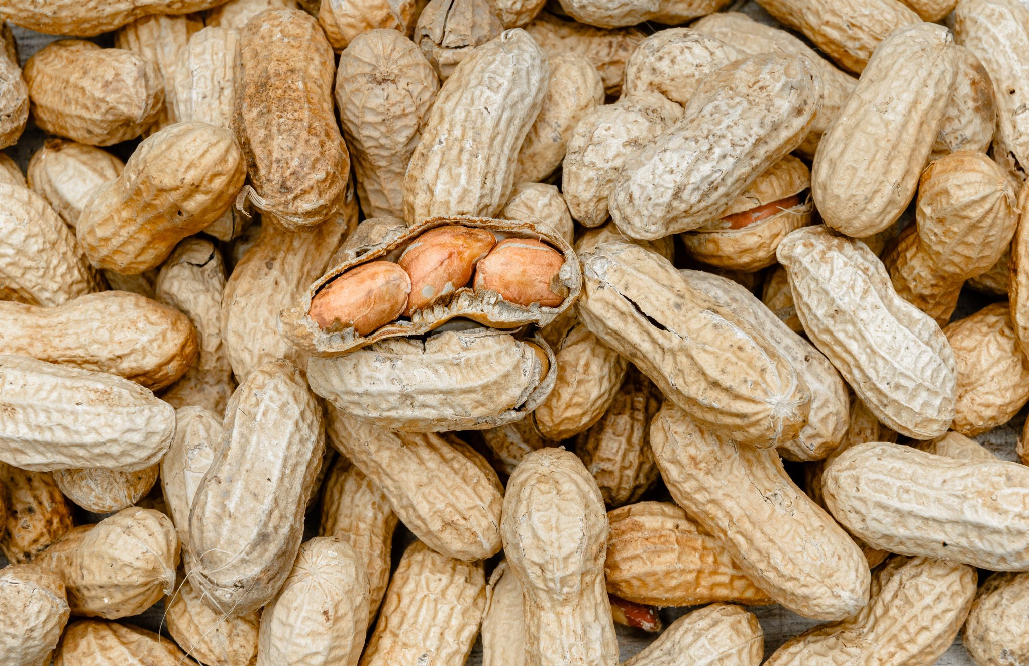 Schon geringe Mengen Erdnüsse können reichen, um allergische Reaktionen auszulösen. (Archivbild)