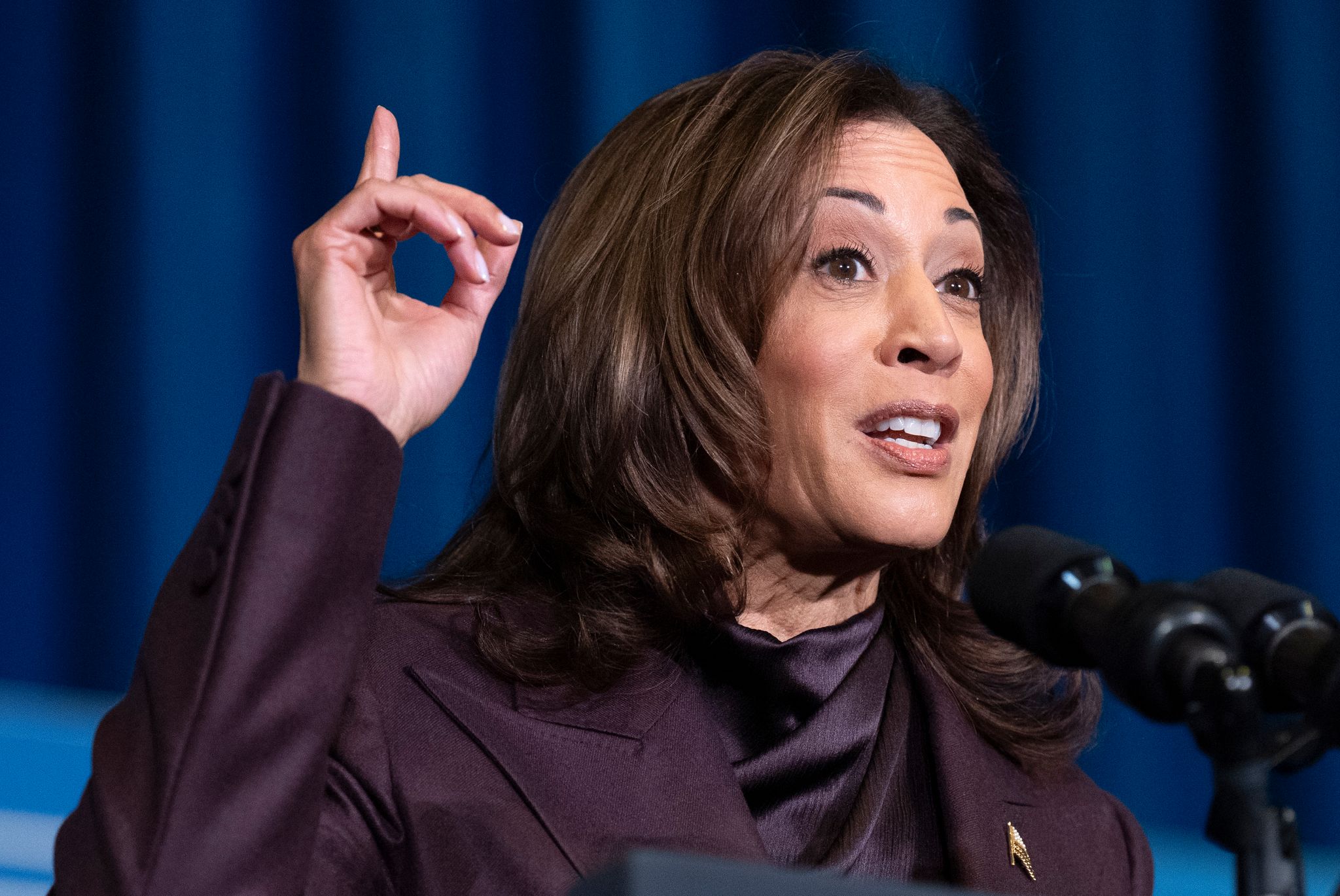 Will sich im nächsten Jahr nicht als Gouverneurin von Kalifornien bewerben - Kamala Harris. (Archivbild)