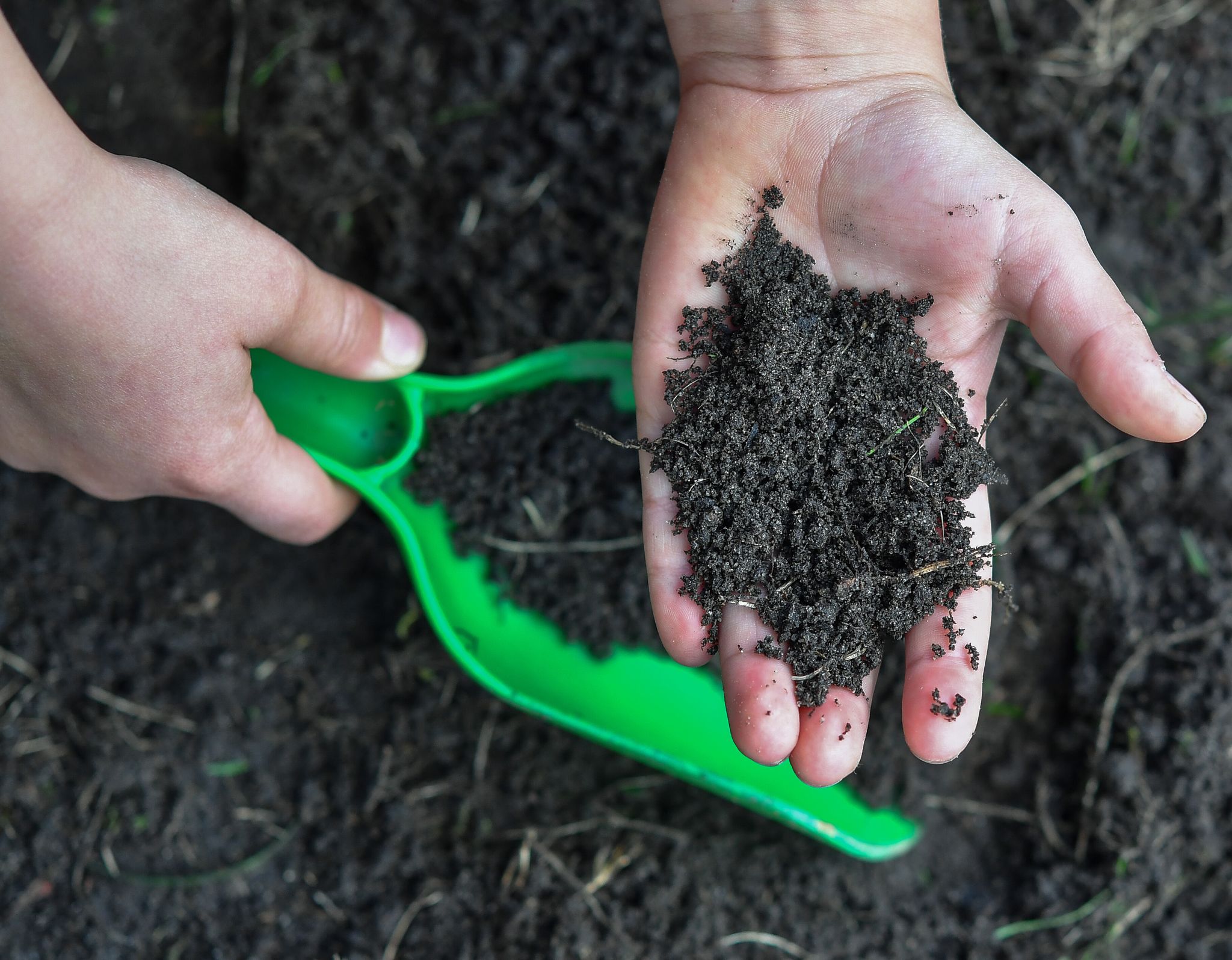 Klebrig? Formbar? Haftend? Die Fingerprobe kann Hinweise auf die Bodenart geben.