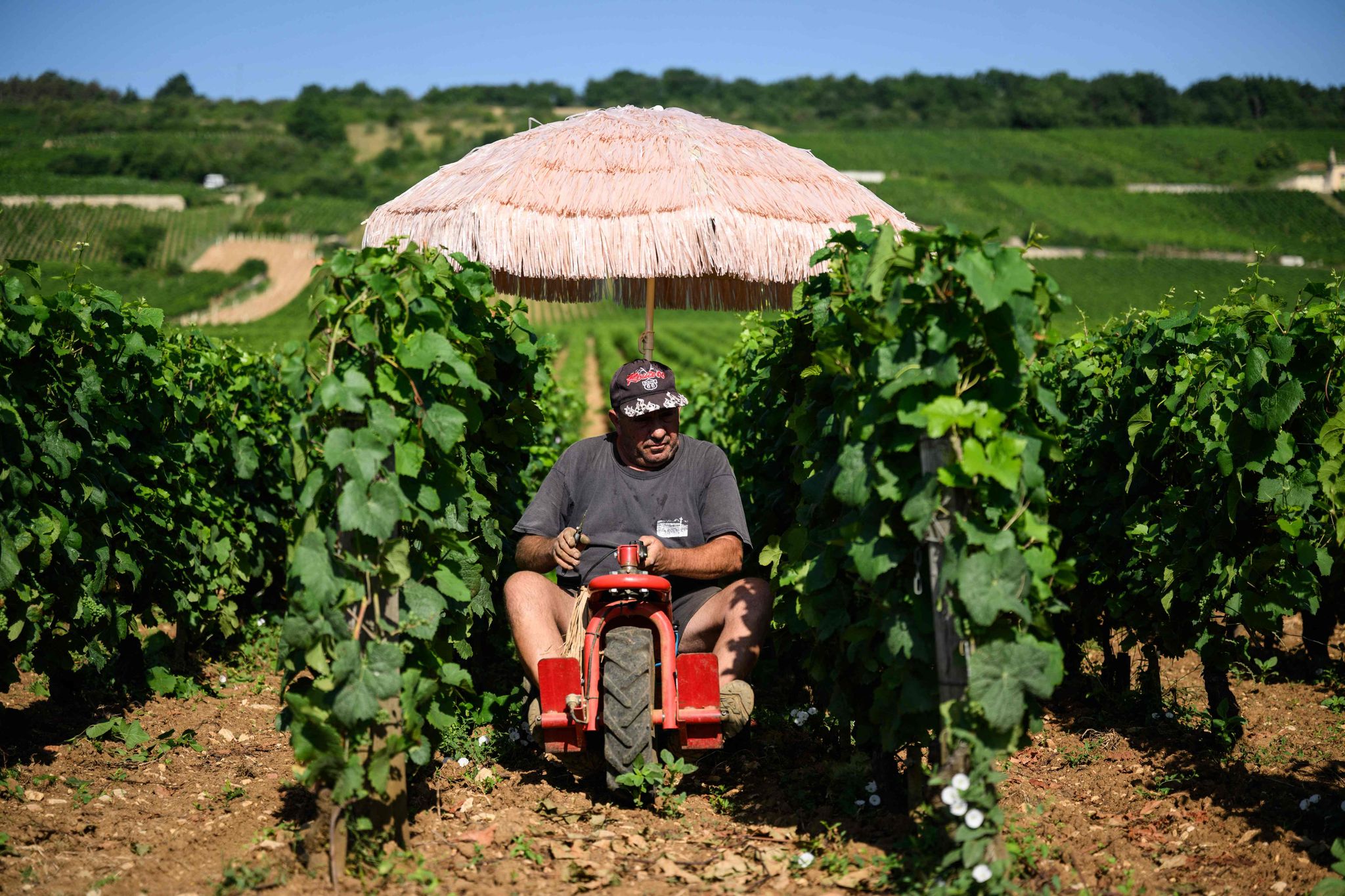 Neben Lieferdiensten und Bauarbeitern ist die Landwirtschaft besonders von Hitze betroffen. (Archivbild)