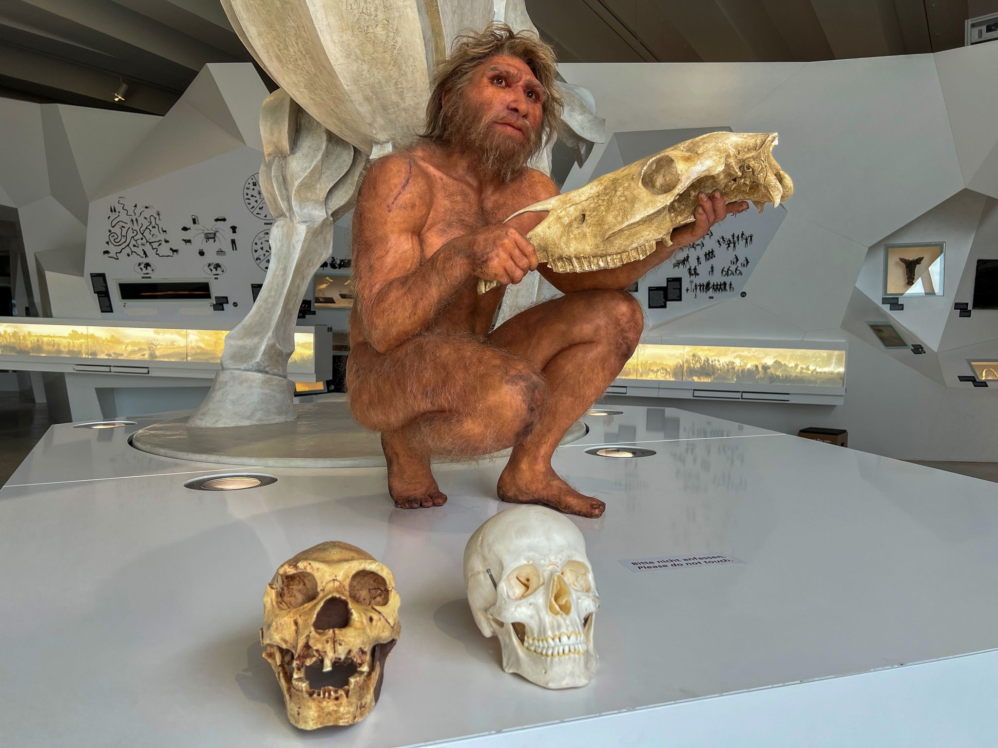Auf Tuchfühlung mit der Urzeit: Die detailgetreue Wachsfigur eines Homo heidelbergensis im Forschungsmuseum «paläon» gibt Einblicke in das Leben unserer frühen Vorfahren.