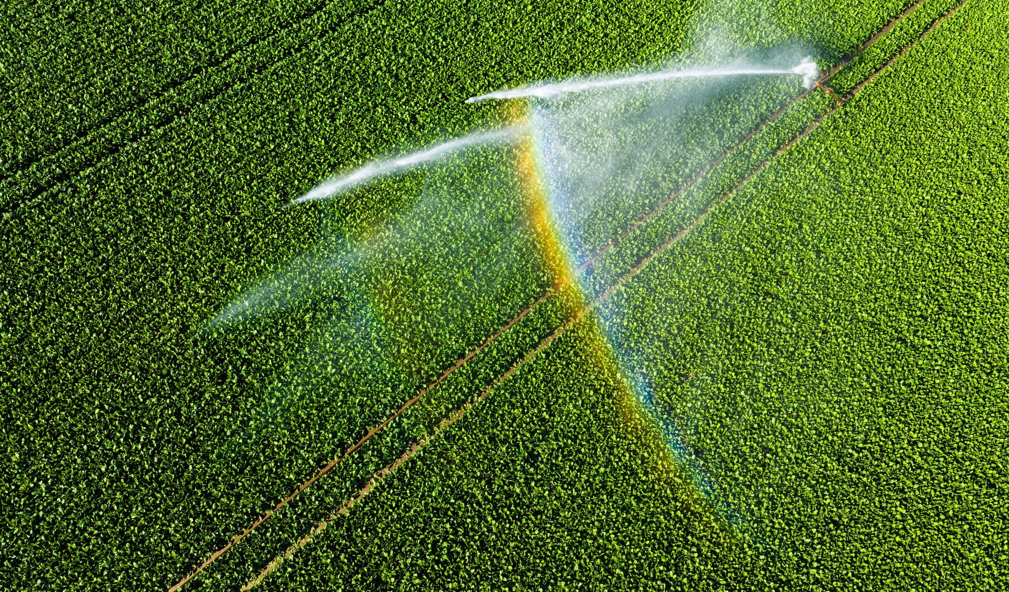 Nicht einmal fünf Prozent der landwirtschaftlichen Fläche kann bewässert werden.
