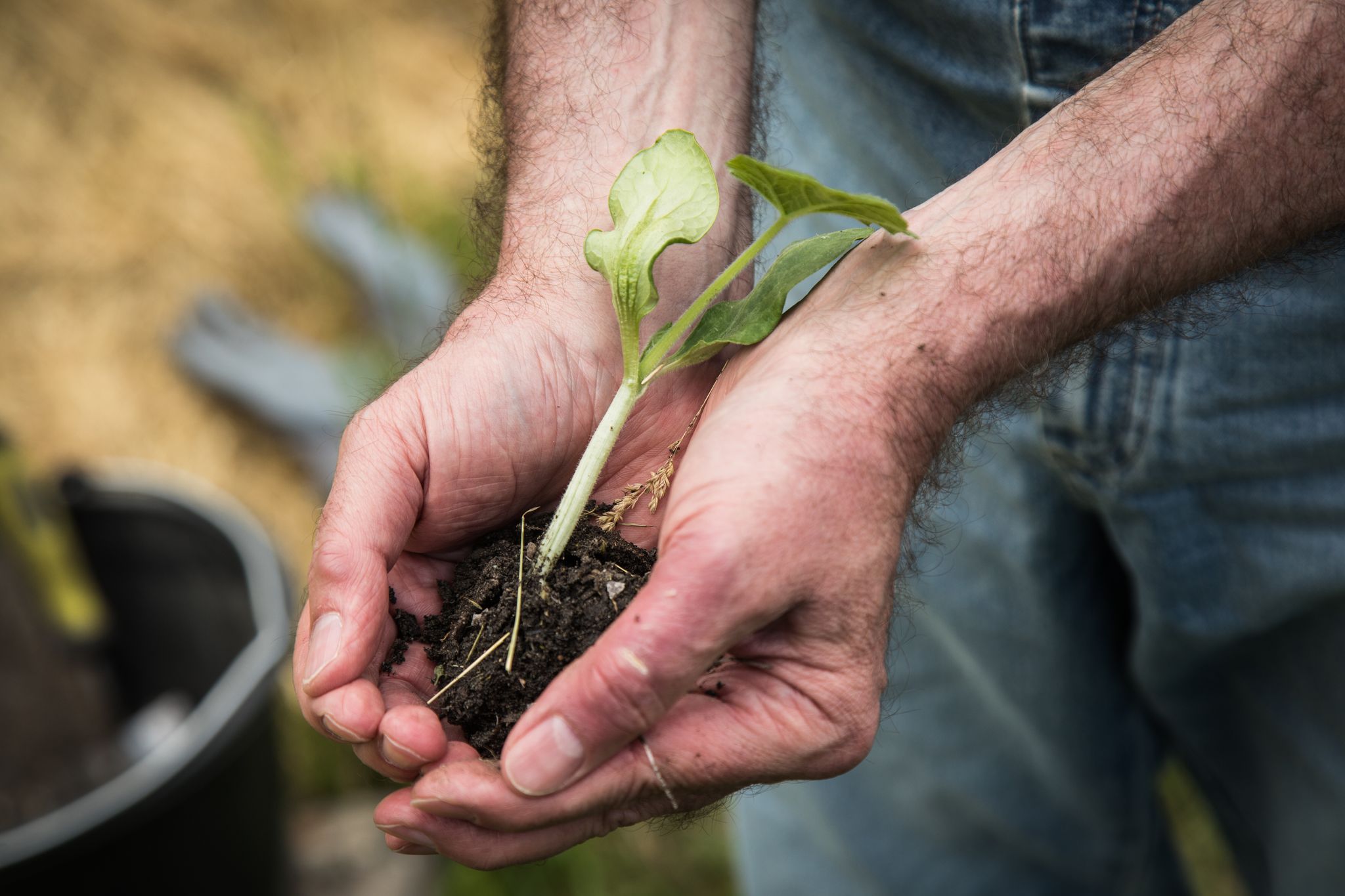 Gärtnern tut der Seele gut: Für viele ist Gartenarbeit ein Ausgleich zum Alltag und ein Weg zu besserer Stimmung.