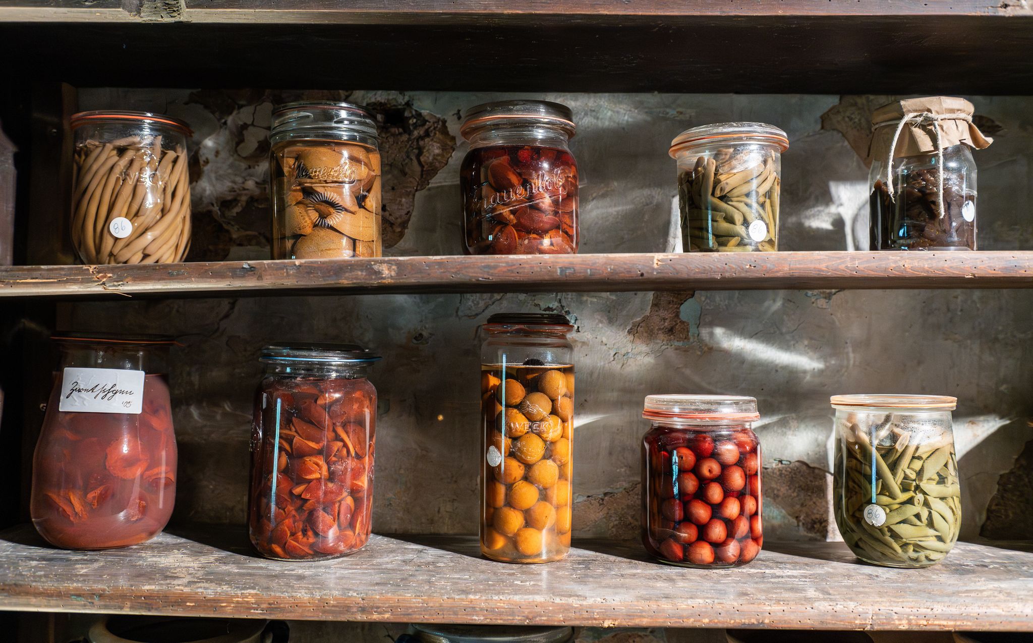 Wird Gemüse und Obst unsachgemäß eingelegt, besteht ein hohes Risiko für Lebensmittelvergiftungen.