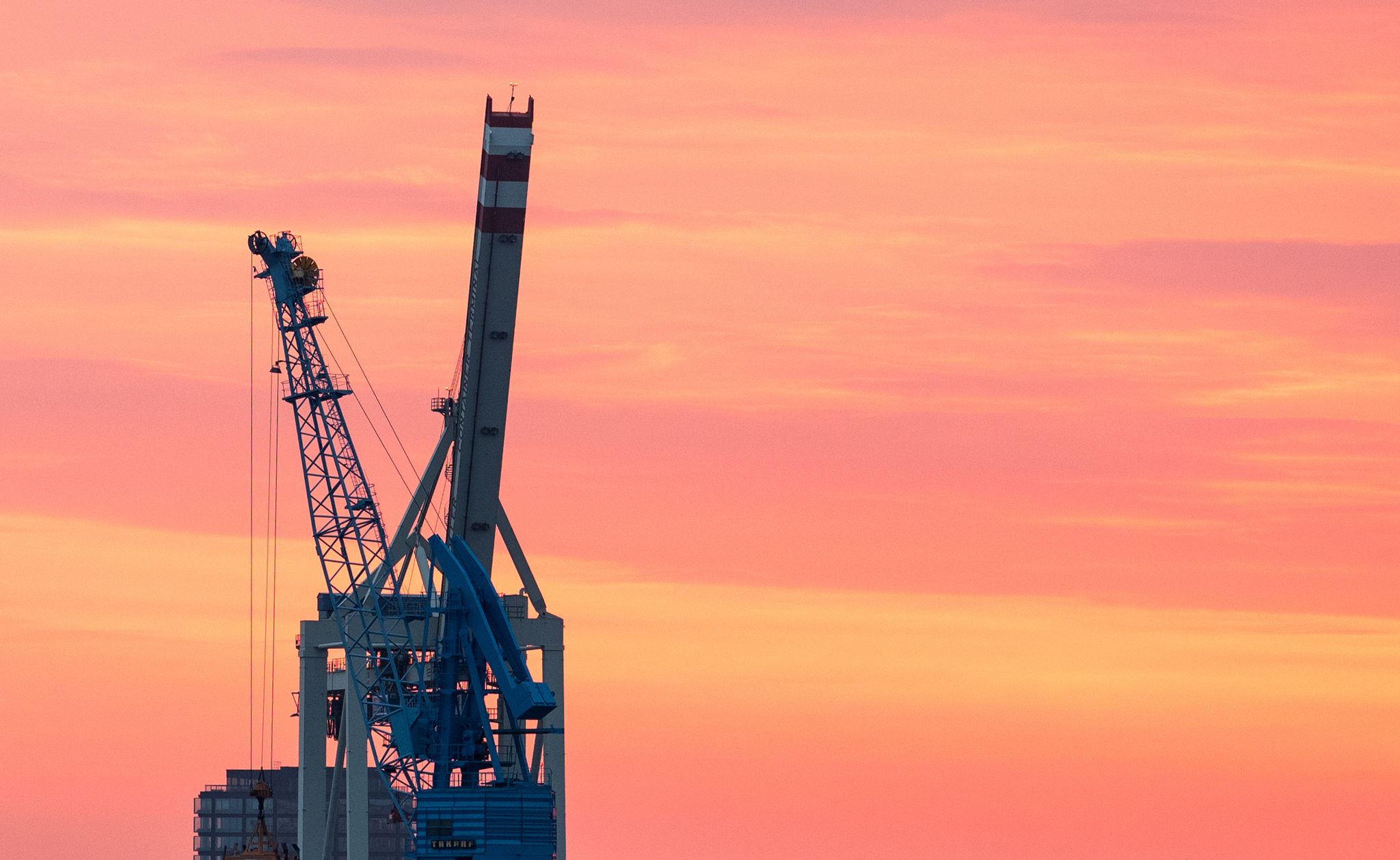 Immer mehr Ökonomen erwarten ein leichtes Plus der deutschen Wirtschaft im Gesamtjahr 2025. (Archivbild)