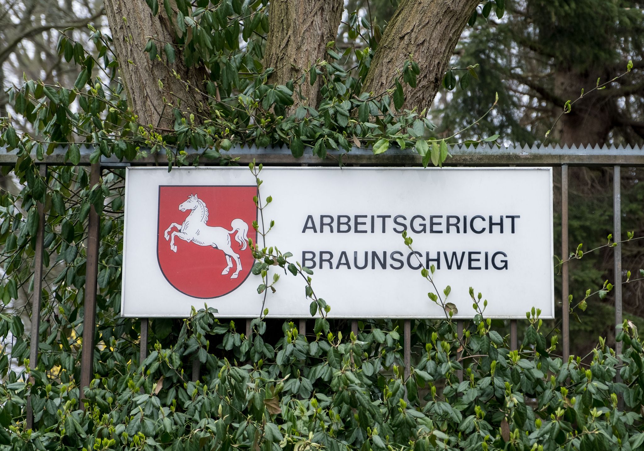 Das Arbeitsgericht Braunschweig hat eine Klage der AfD-nahen Arbeitnehmerorganisation Zentrum auf Zugang zum Werk der VW-Tochter Volkswagen Group Services in Isenbüttel abgewiesen. (Symbolbild)