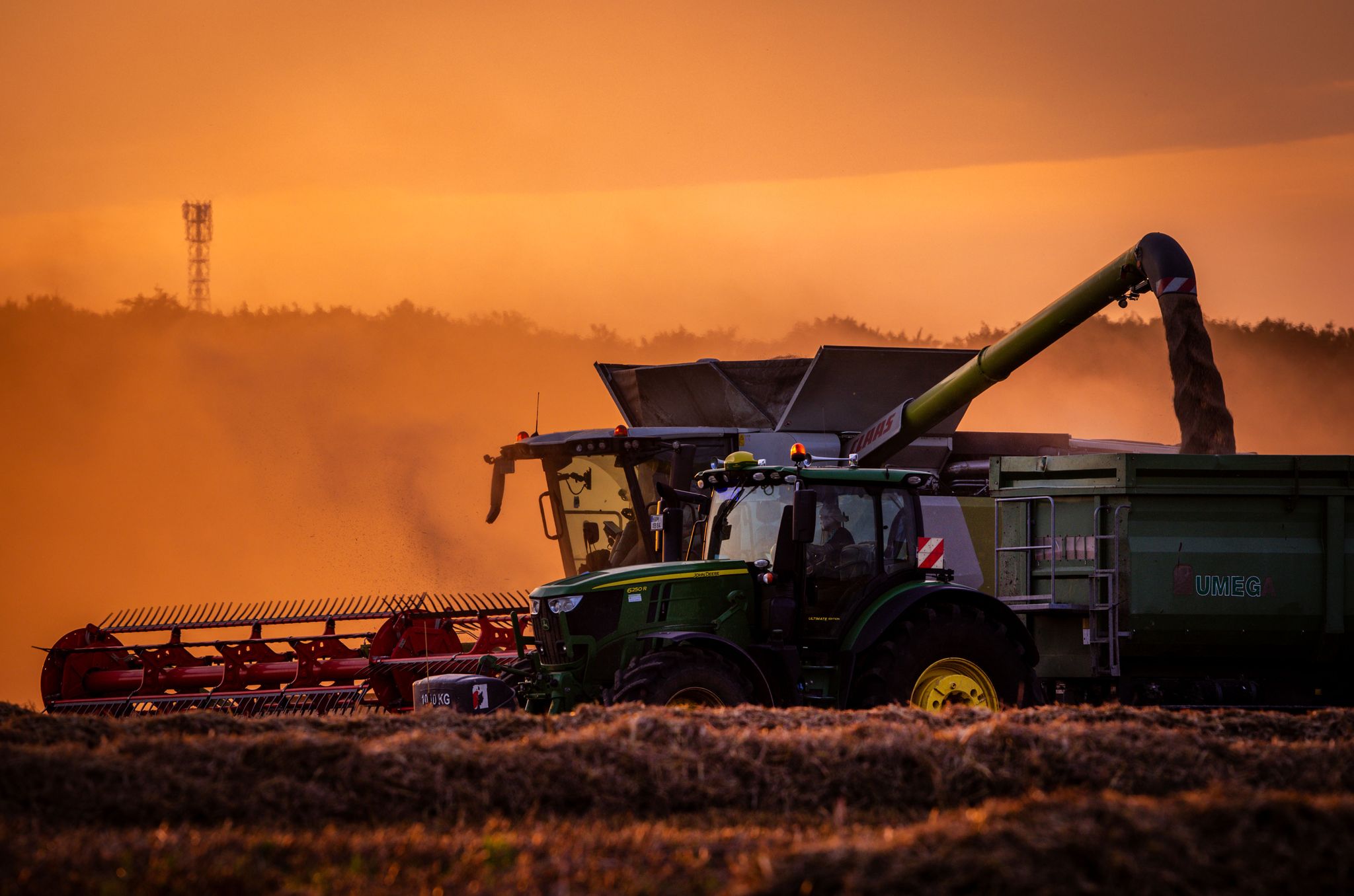Die Bauern in Deutschland können mit der diesjährigen Getreideernte voraussichtlich zufrieden sein. (Archivbild)