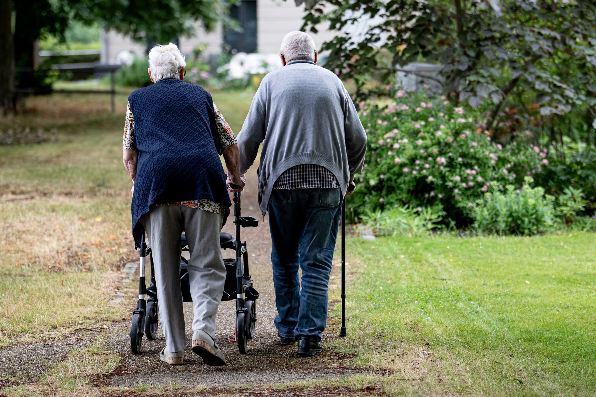 Irgendwann geht es für viele mit Arthrose nicht mehr ohne - nicht ohne Schmerzen, nicht ohne Gehilfe. (Symbolbild)
