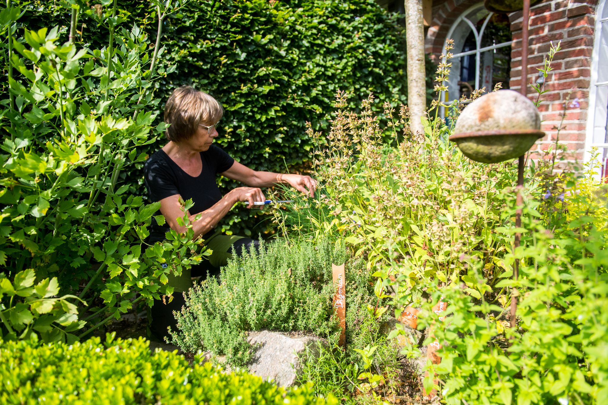 Internationale Kräuter sorgen für Abwechslung im Garten - und in der Küche.