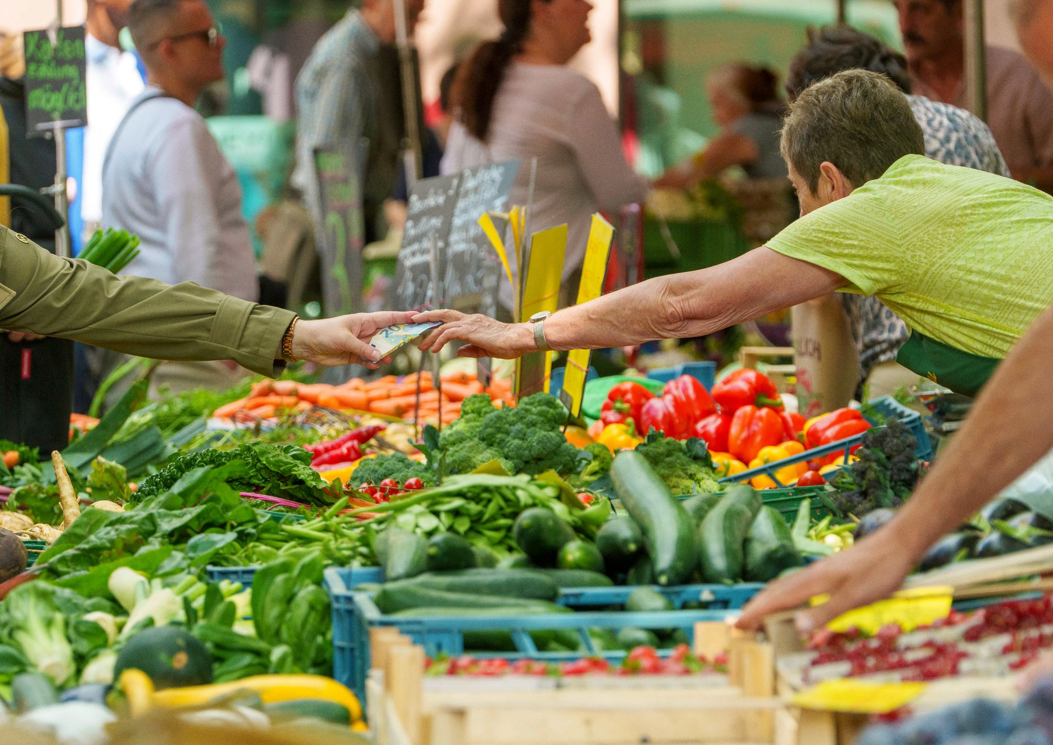 Bei Salat liegt der deutsche Selbstversorgungsgrad etwas höher als bei anderen Gemüsearten. (Archivbild)