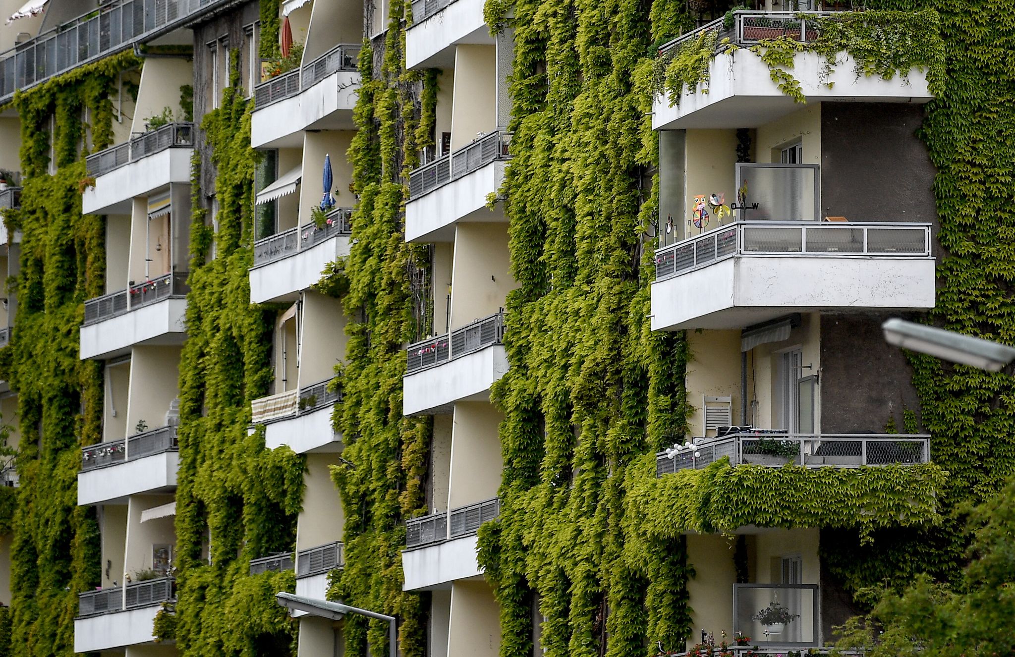Pflanzen an der Fassade sorgen im Sommer für Schatten und im Winter für zusätzliche Dämmung.