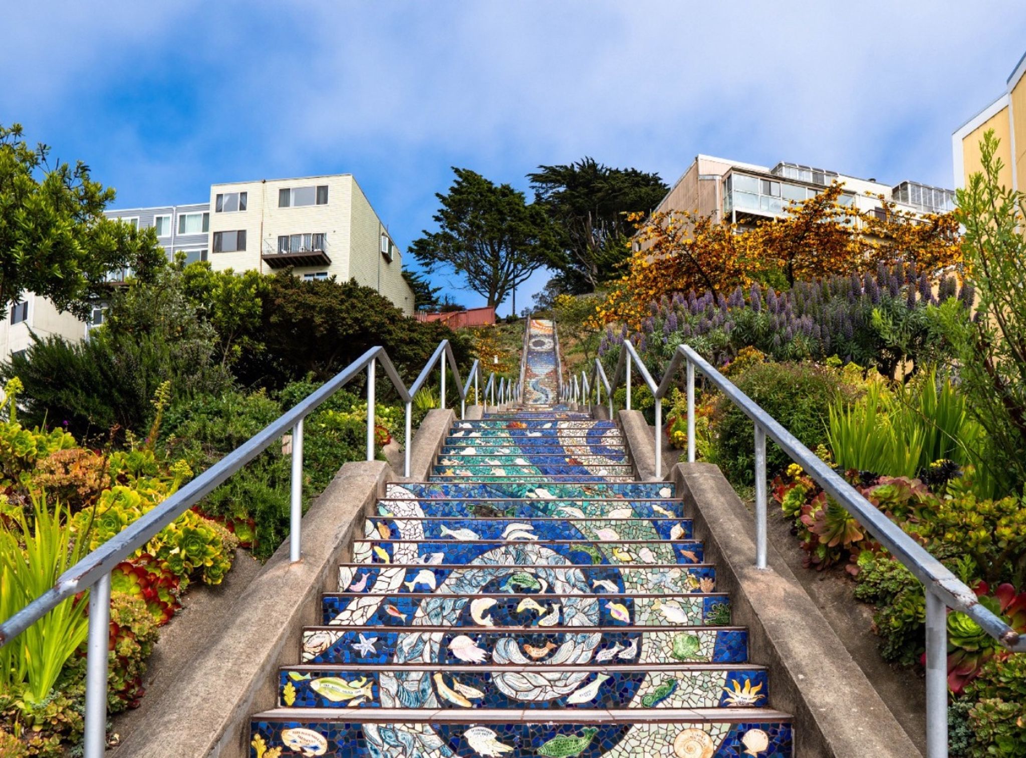 Das bunte Mosaik einer Unterwasserwelt versüßt den langen Aufstieg der Treppe von der 16th Avenue zum Grand View Park.