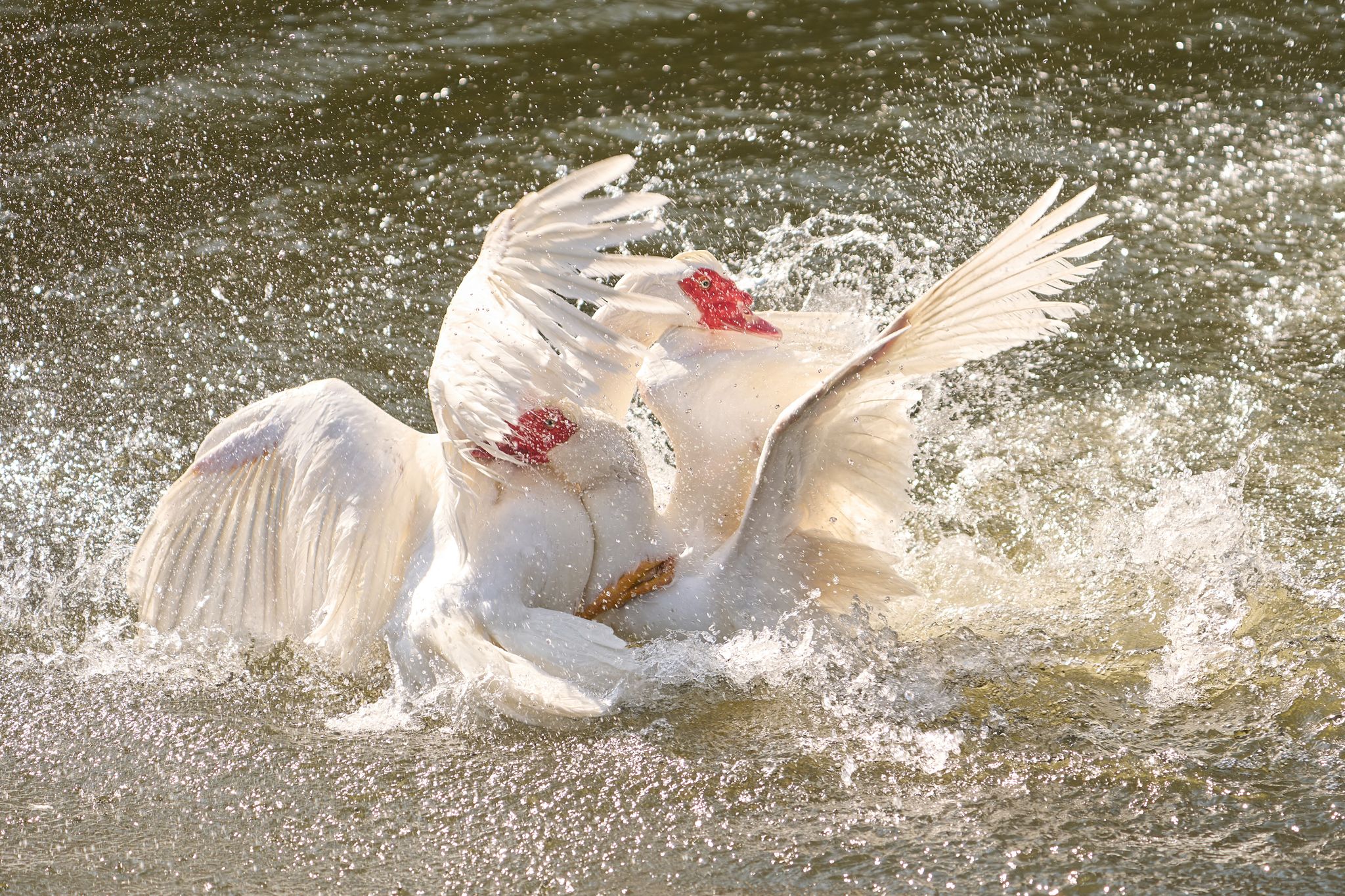 Streit gehört zum Leben dazu: Er kann zwar schmerzhaft sein, wirkt aber oft als Katalysator für mehr Verständnis und Nähe
