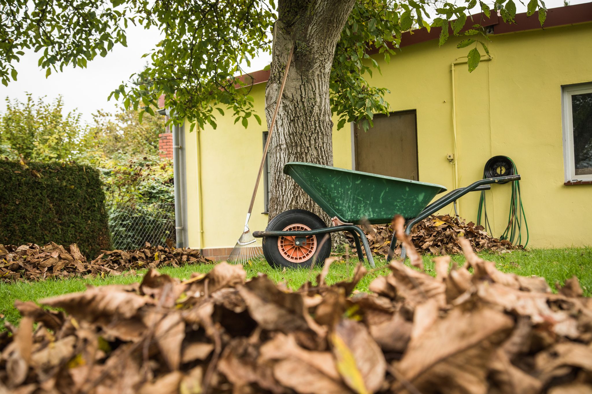 Ruhe vor dem Sturm: Bevor die stürmische Jahreszeit beginnt, sollten die Bäume auf dem Grundstück gründlich in Augenschein genommen werden.