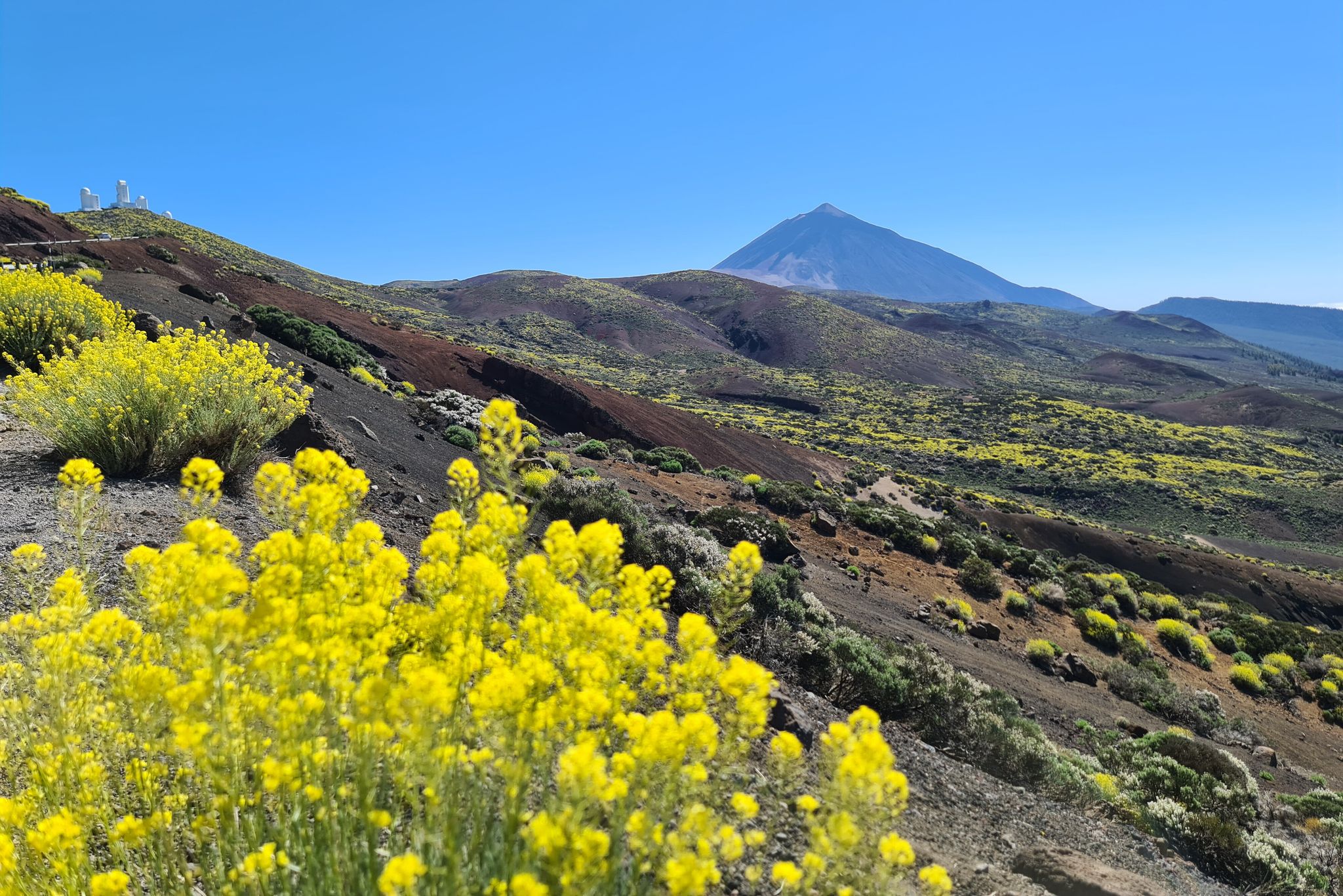 Der Berg Teide auf Teneriffa ist nur eines der Highlights der Kanarischen Inseln.