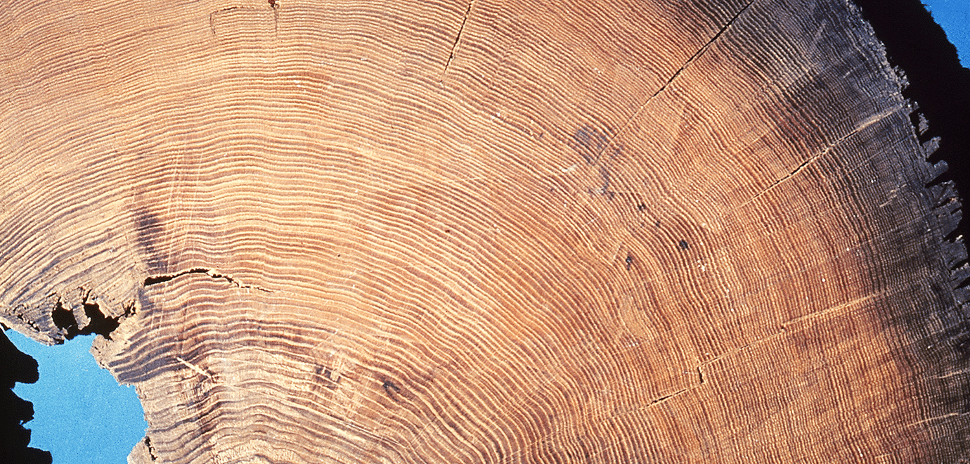 Foto: Neusatz Verlag/3000 Jahre Klima-Achterbahn