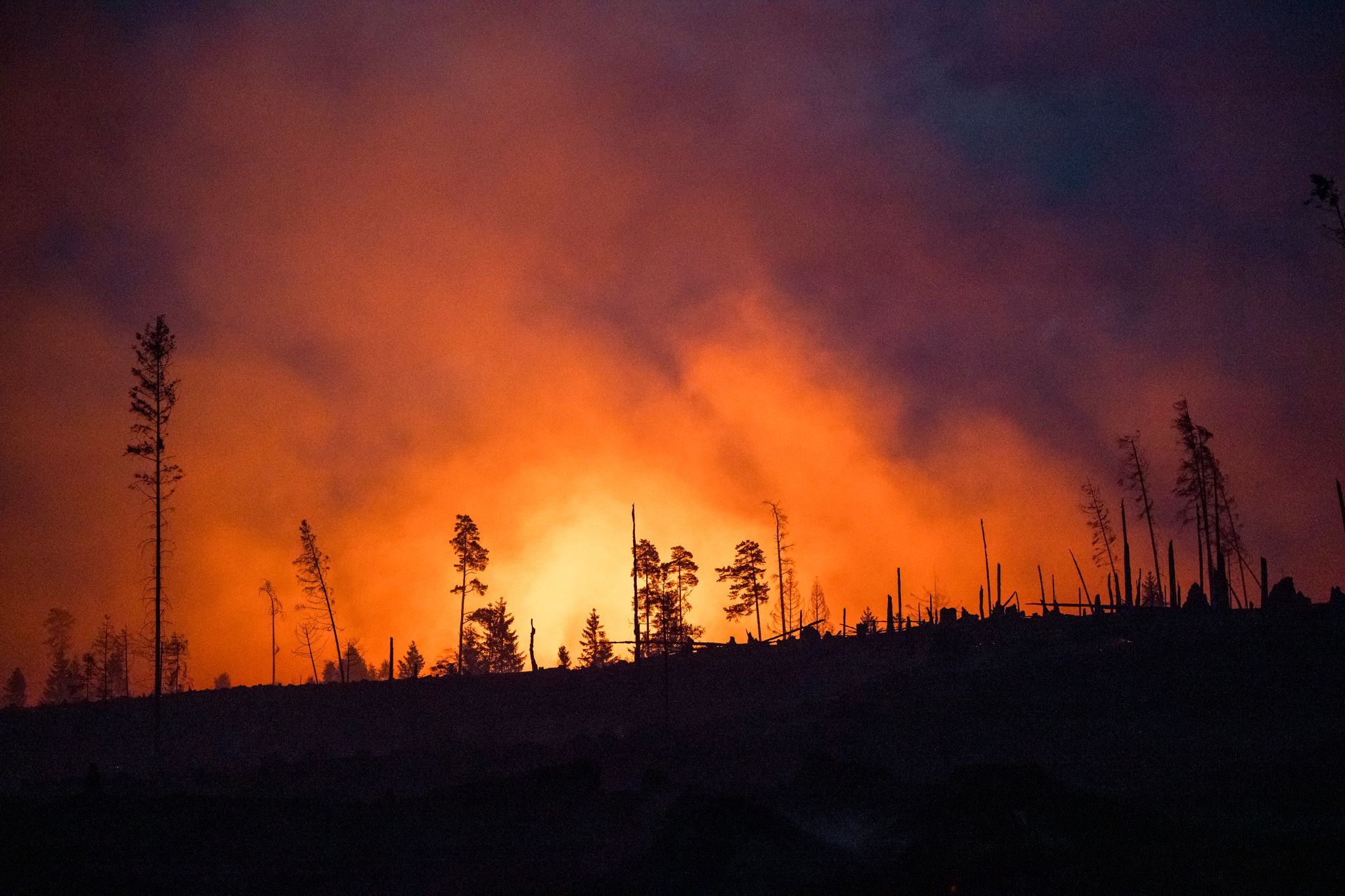 Waldbrände fachen mit ihren Emissionen die Erderwärmung zusätzlich an. (Illustraiton)