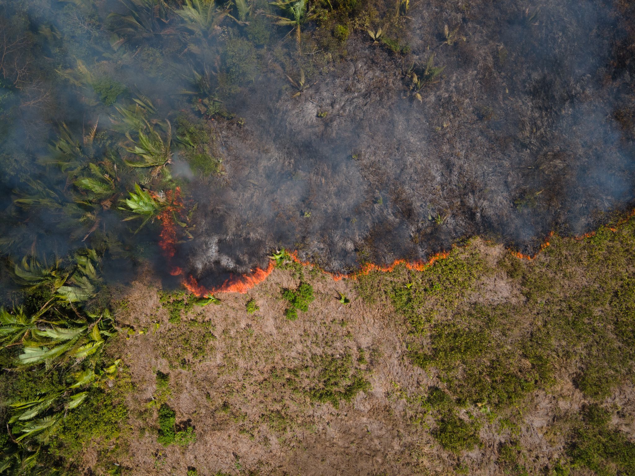 Flammen breiten sich in einem Amazonas-Gebiet aus. (Archivbild)