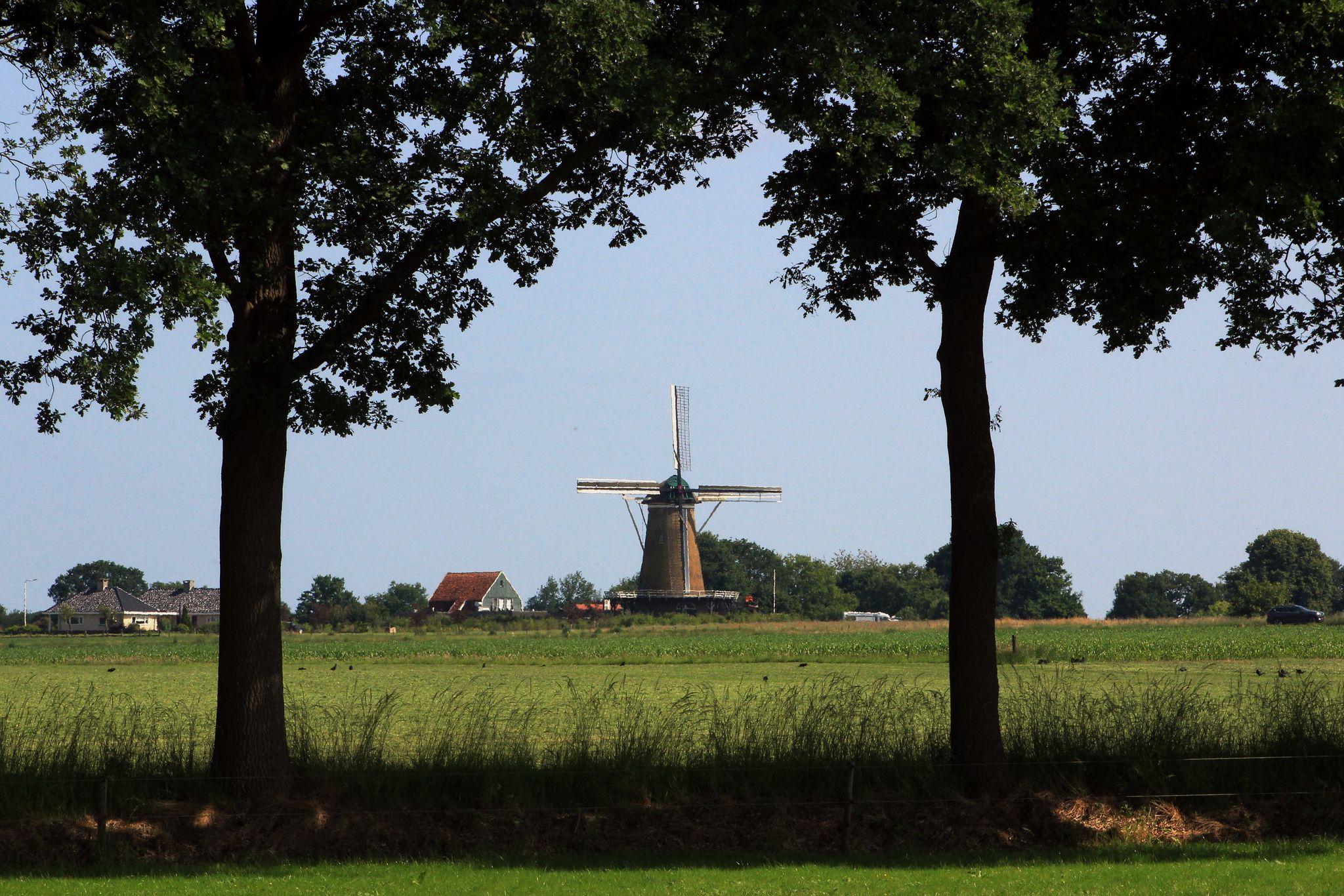 Windmühlen wie die Olde Mölle hat man in Achterhoek mitunter fast für sich: Touristenmassen sind hier nicht unterwegs.