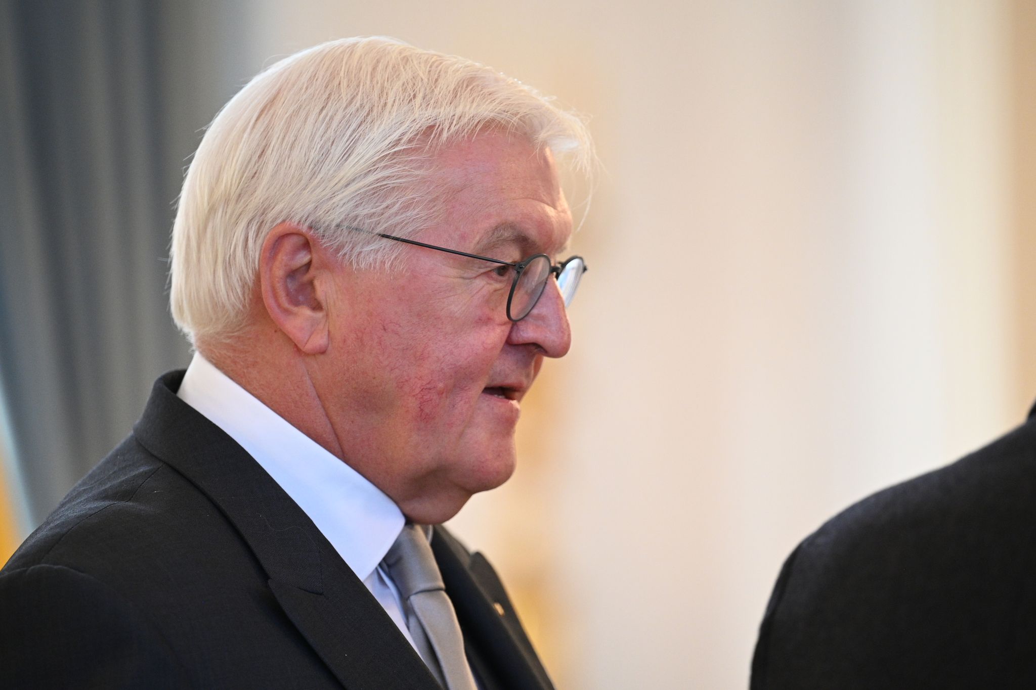 Steinmeier betrachtet das vorgeschlagene Losverfahren mit mit Skepsis. (Archivbild)