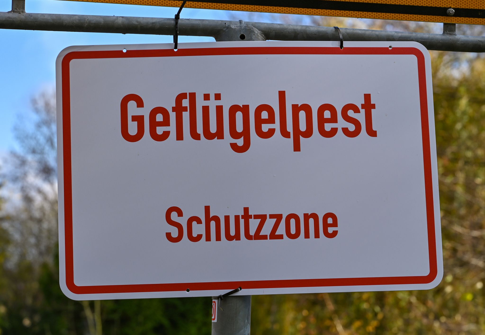 Nach Angaben des Friedrich-Loeffler-Instituts sind immer mehr Geflügelhaltungen in Deutschland von der Geflügelpest betroffen. In Betrieben in neun Bundesländern gab es bislang Seuchenausbrüche. (Symbolbild).